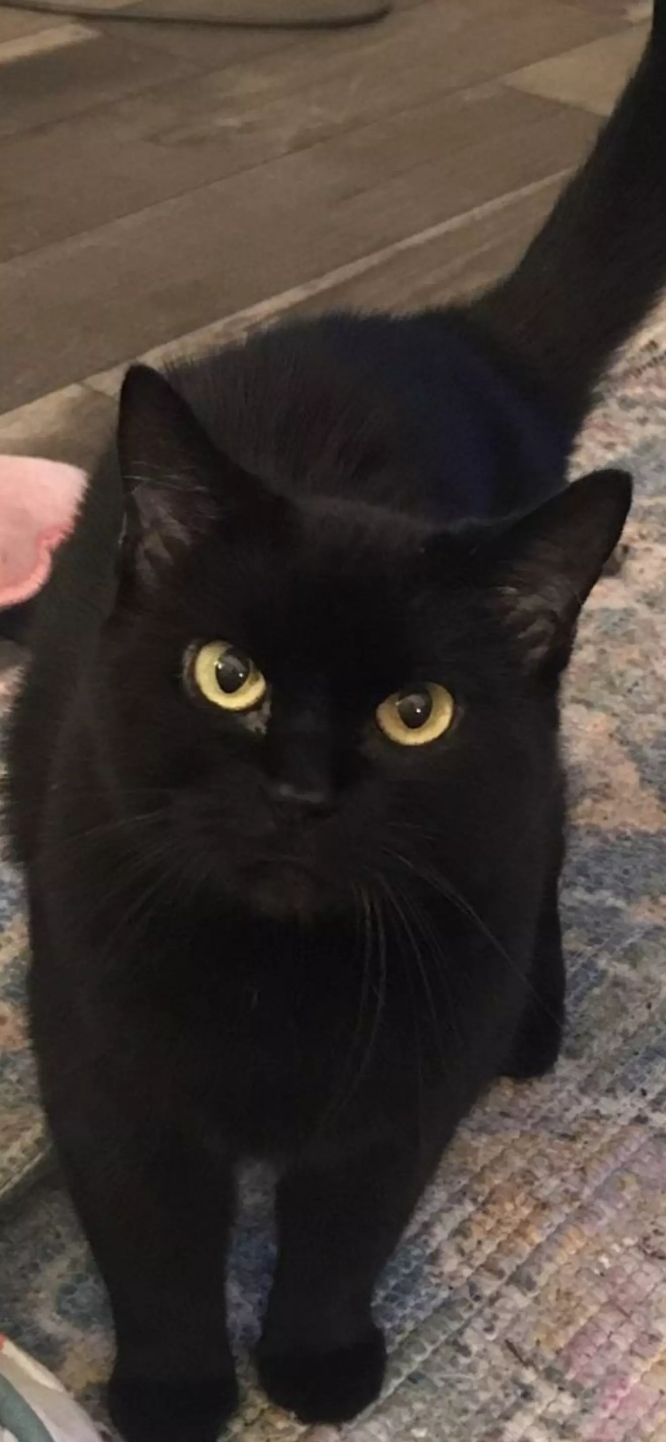 Minu