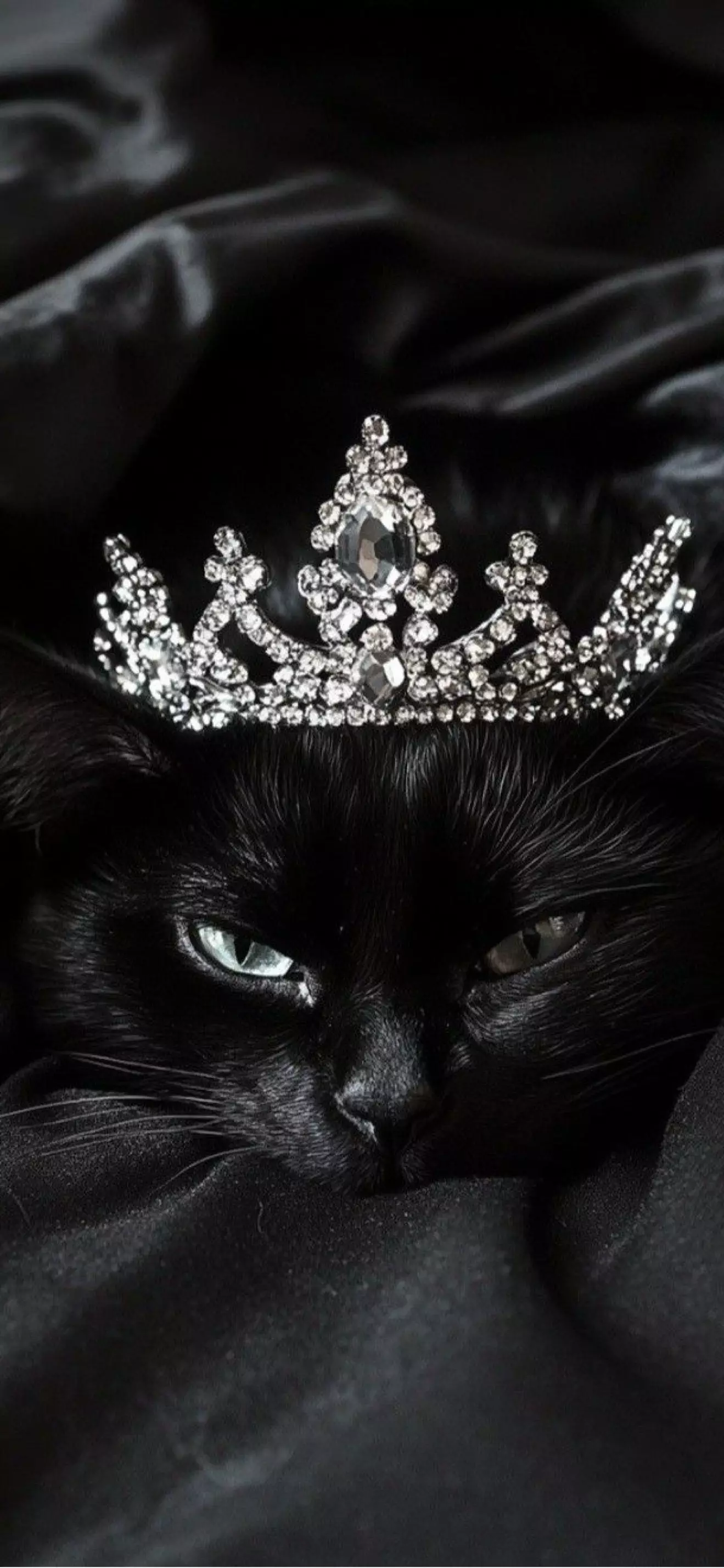 Gata 