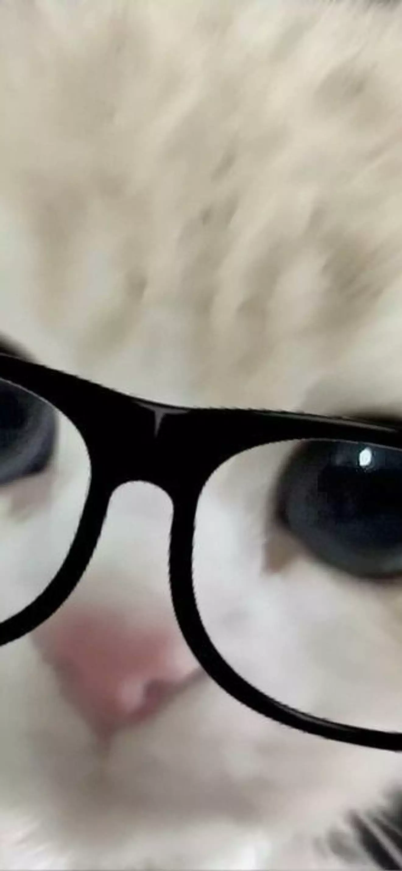 🤓👆