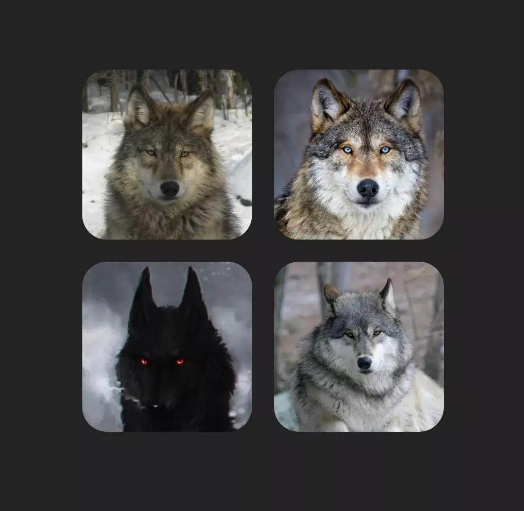 Dusk, Drake, Scar e Max. thumbnail