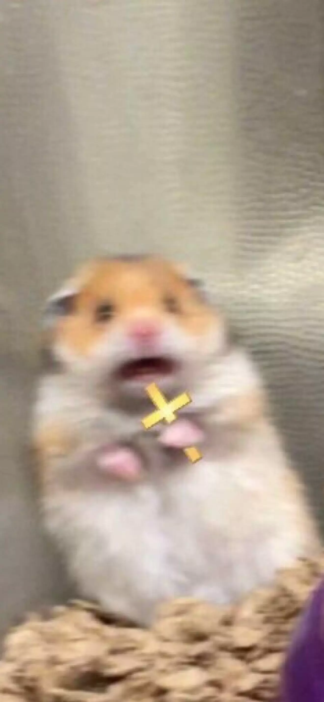 Rompe_anos