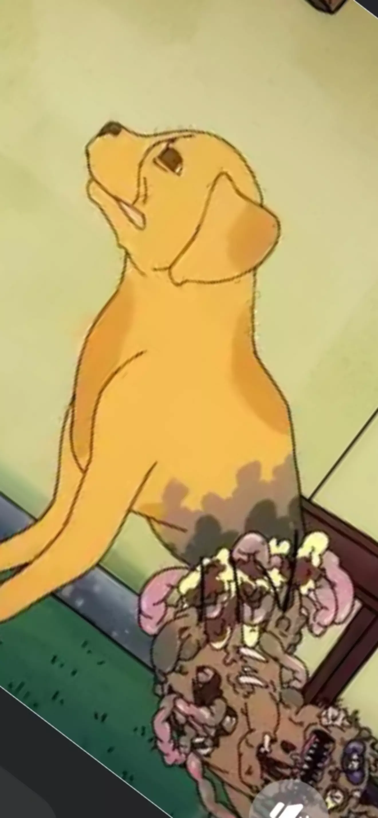Dog 🤷‍♂️