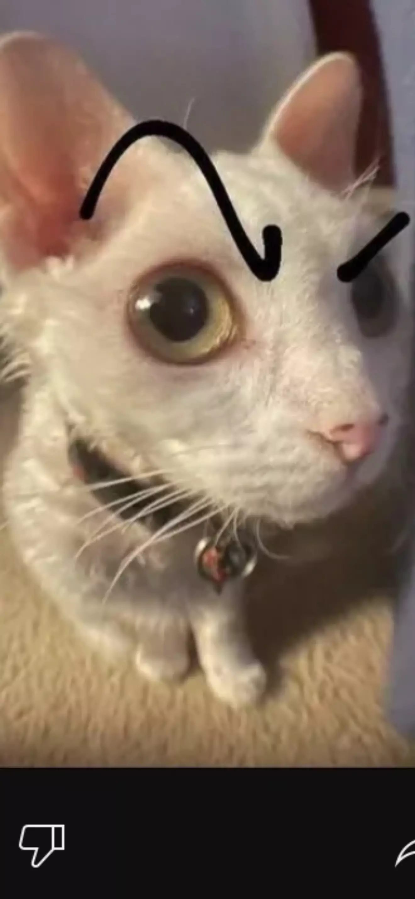 Era