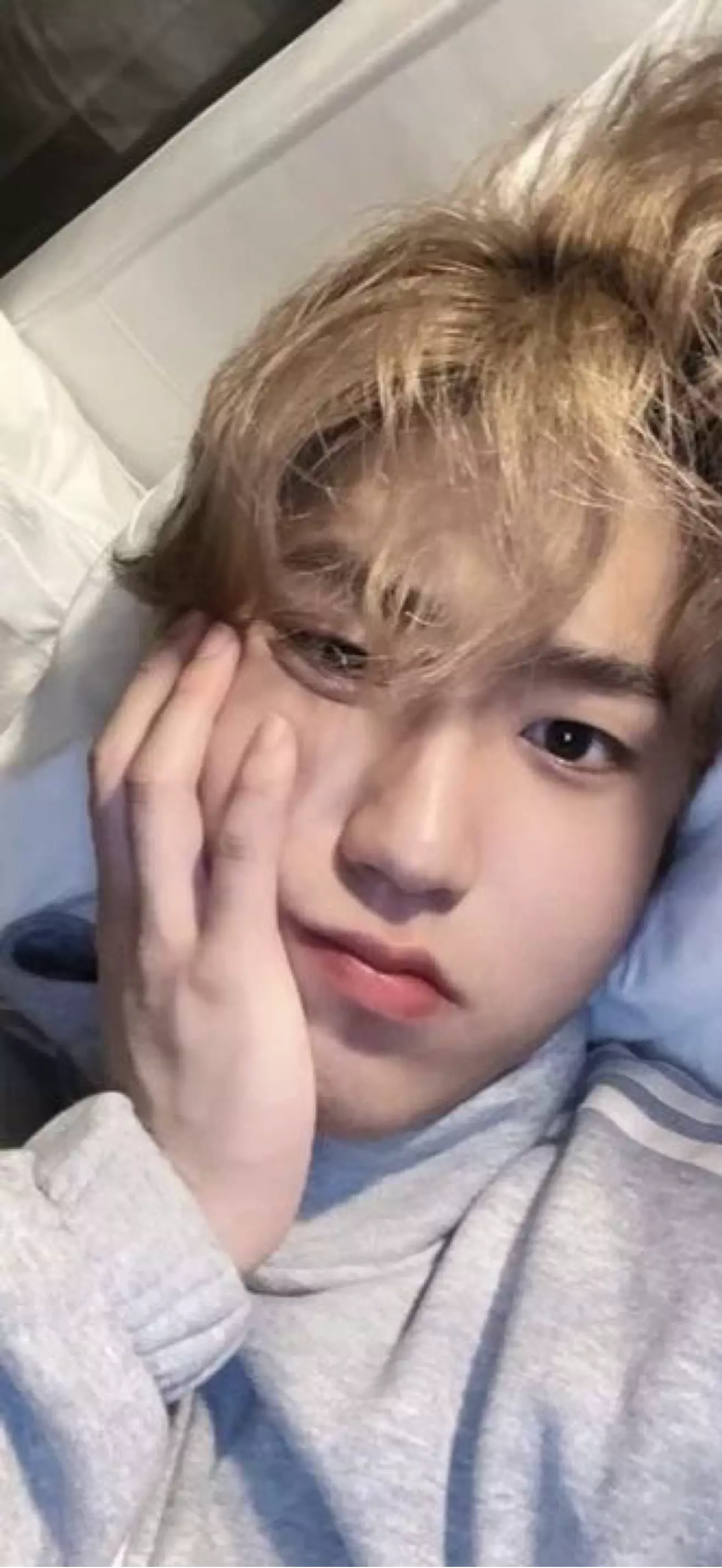 Han Jisung