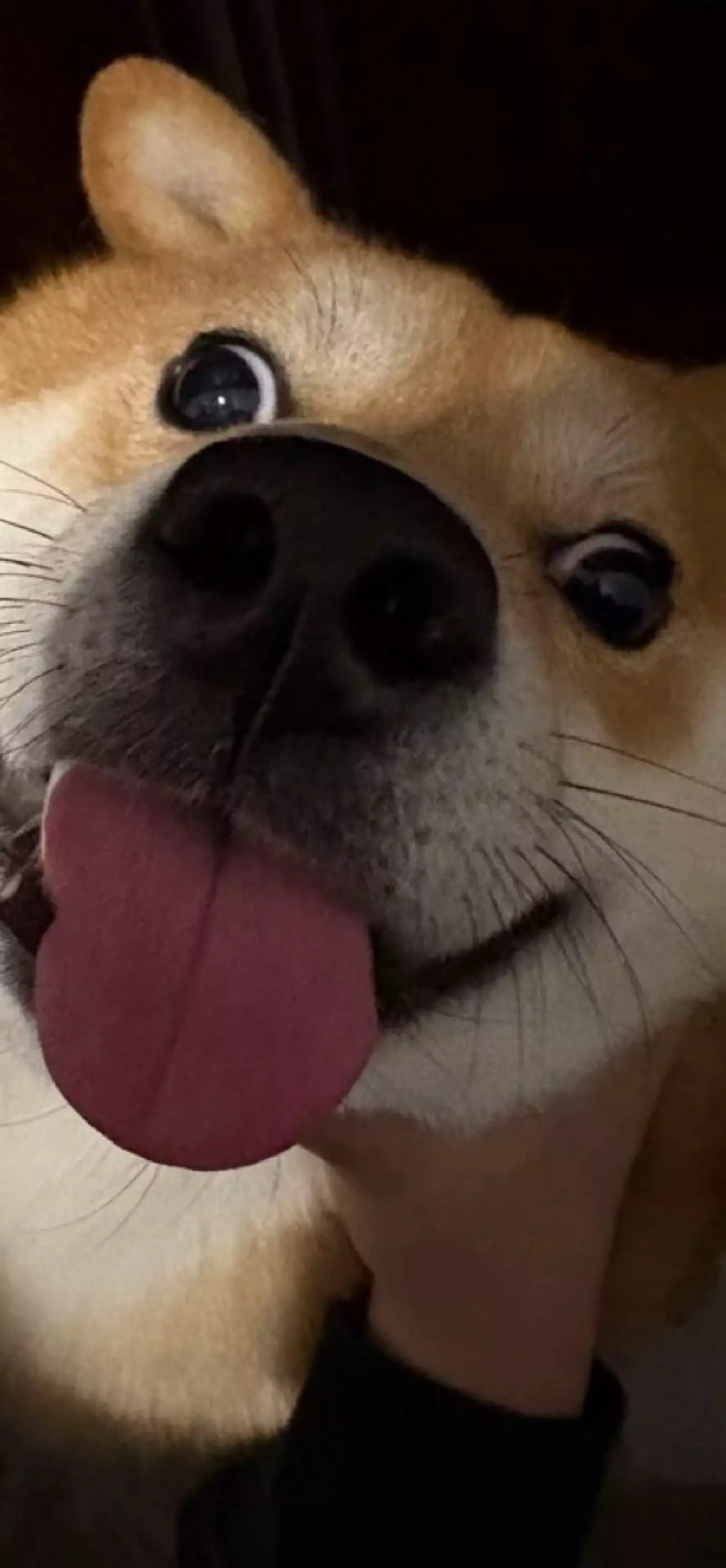 Simba