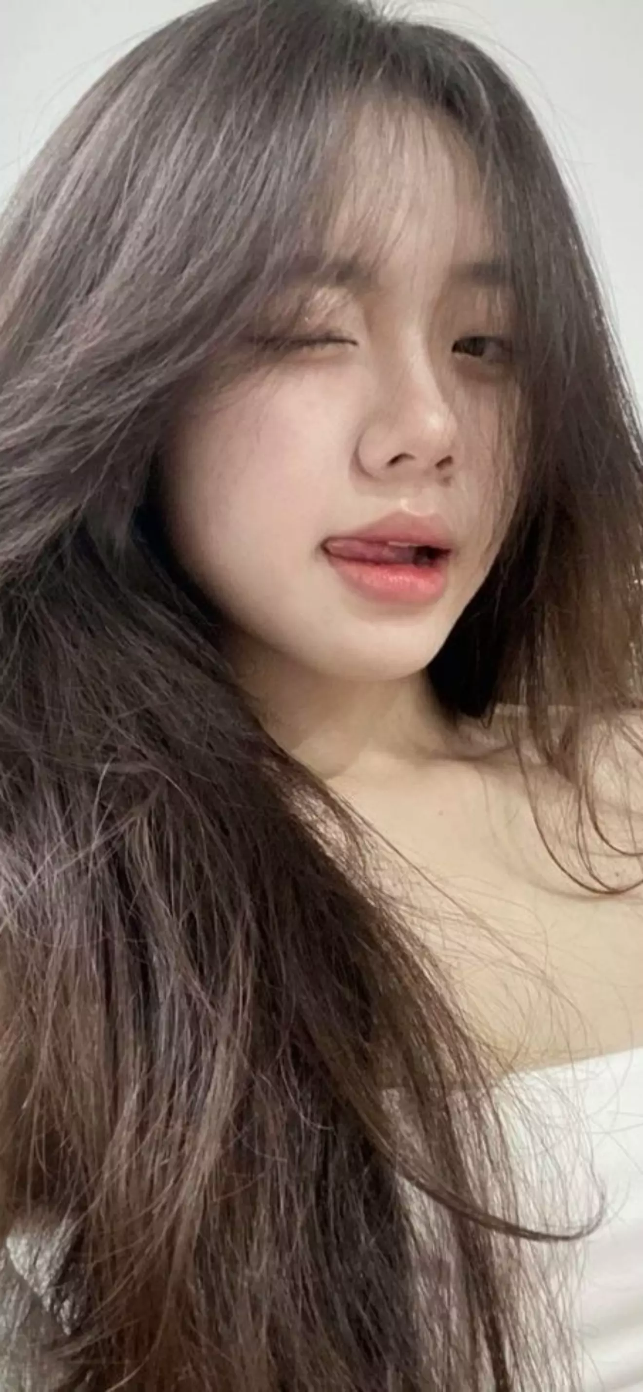 Y/n