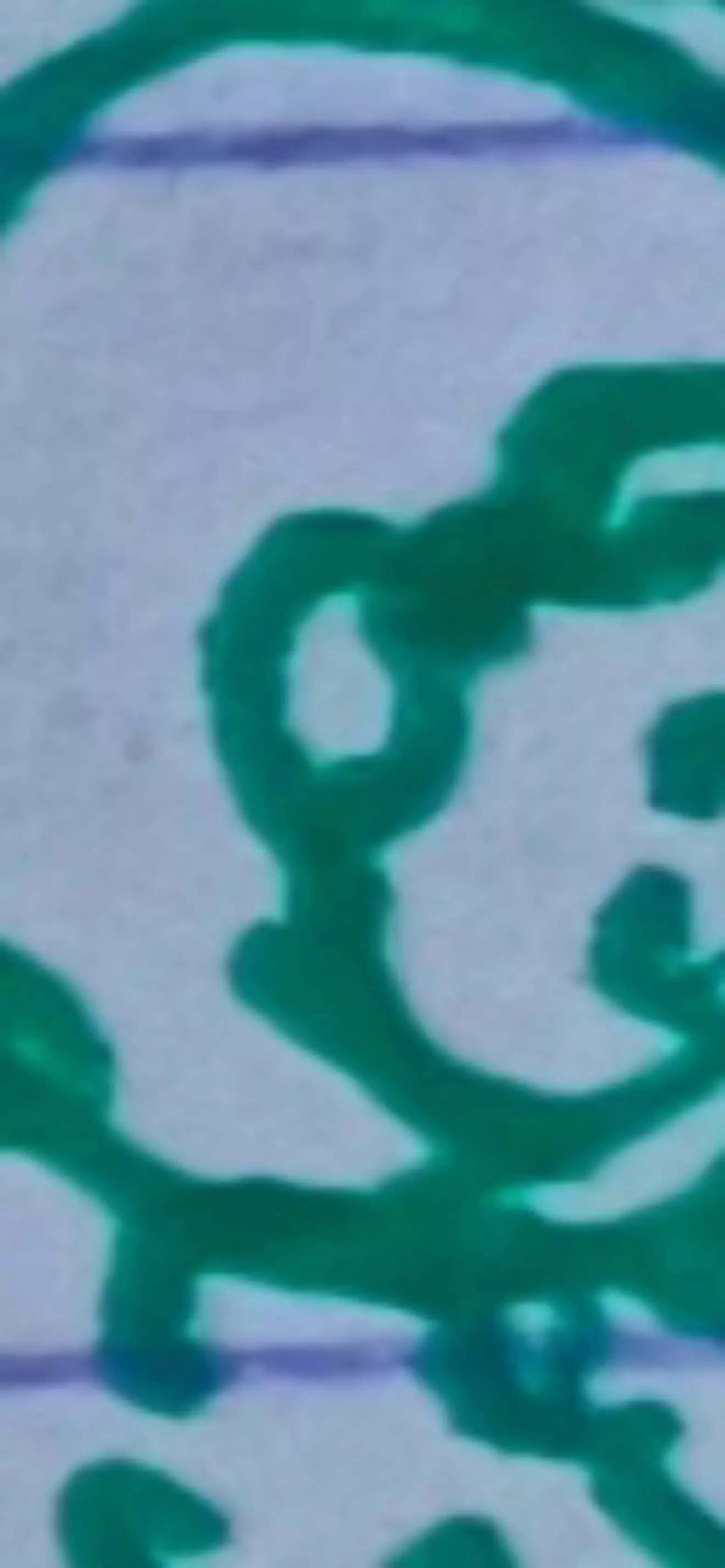 Biomeniie
