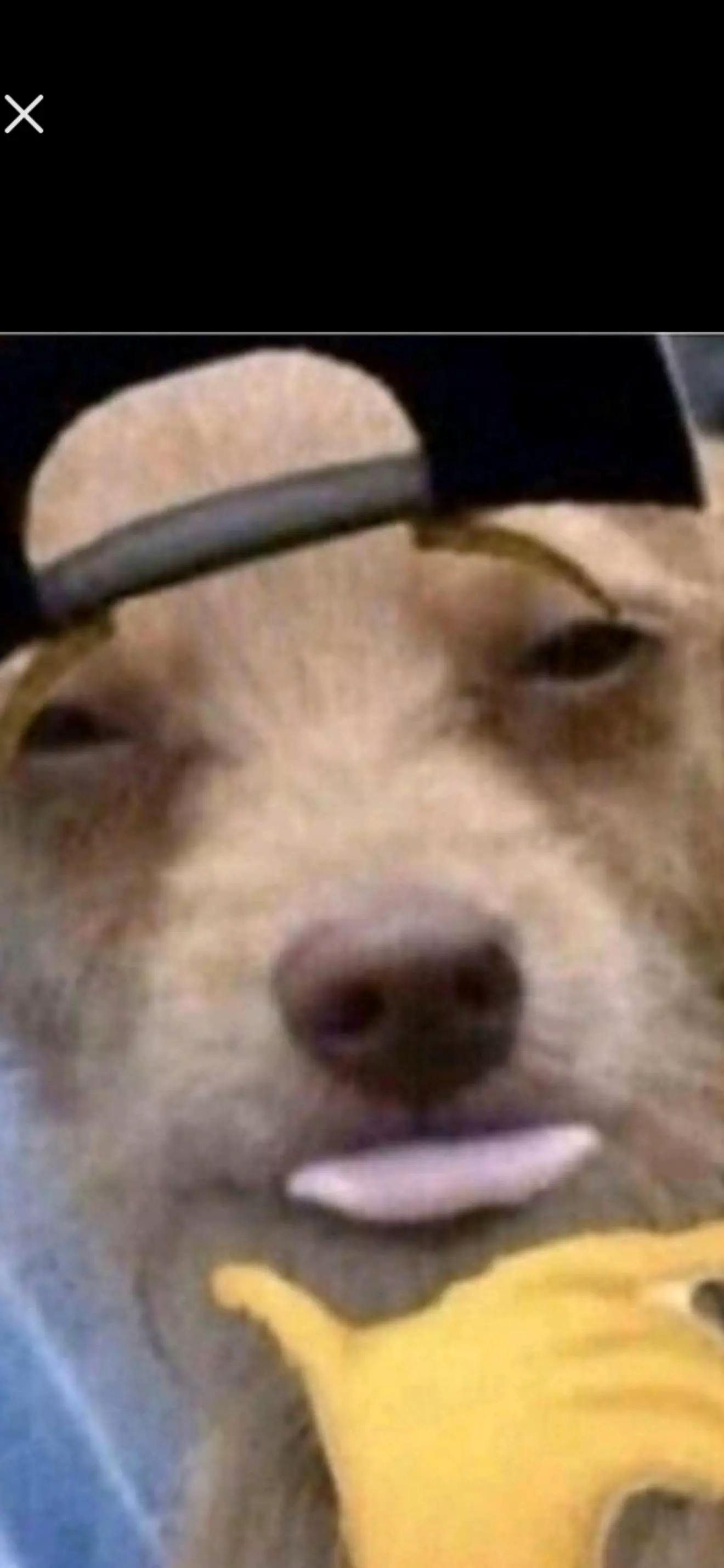 𝕋𝔸ℝ 𝕆𝕐ℤ𝕀ℕ