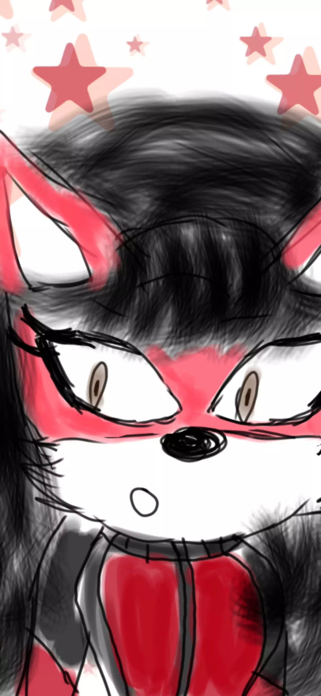 Shaby the red Fox 