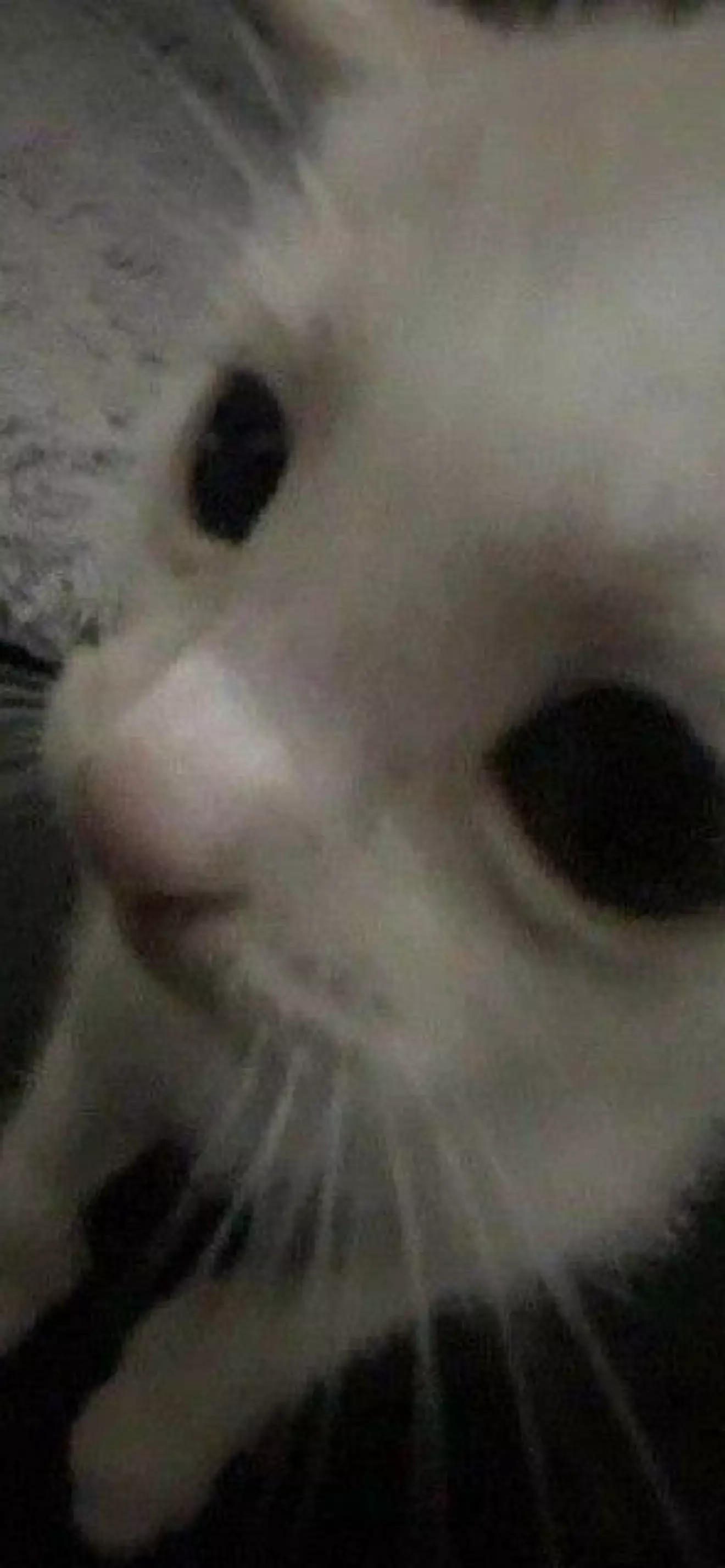 Джеймс