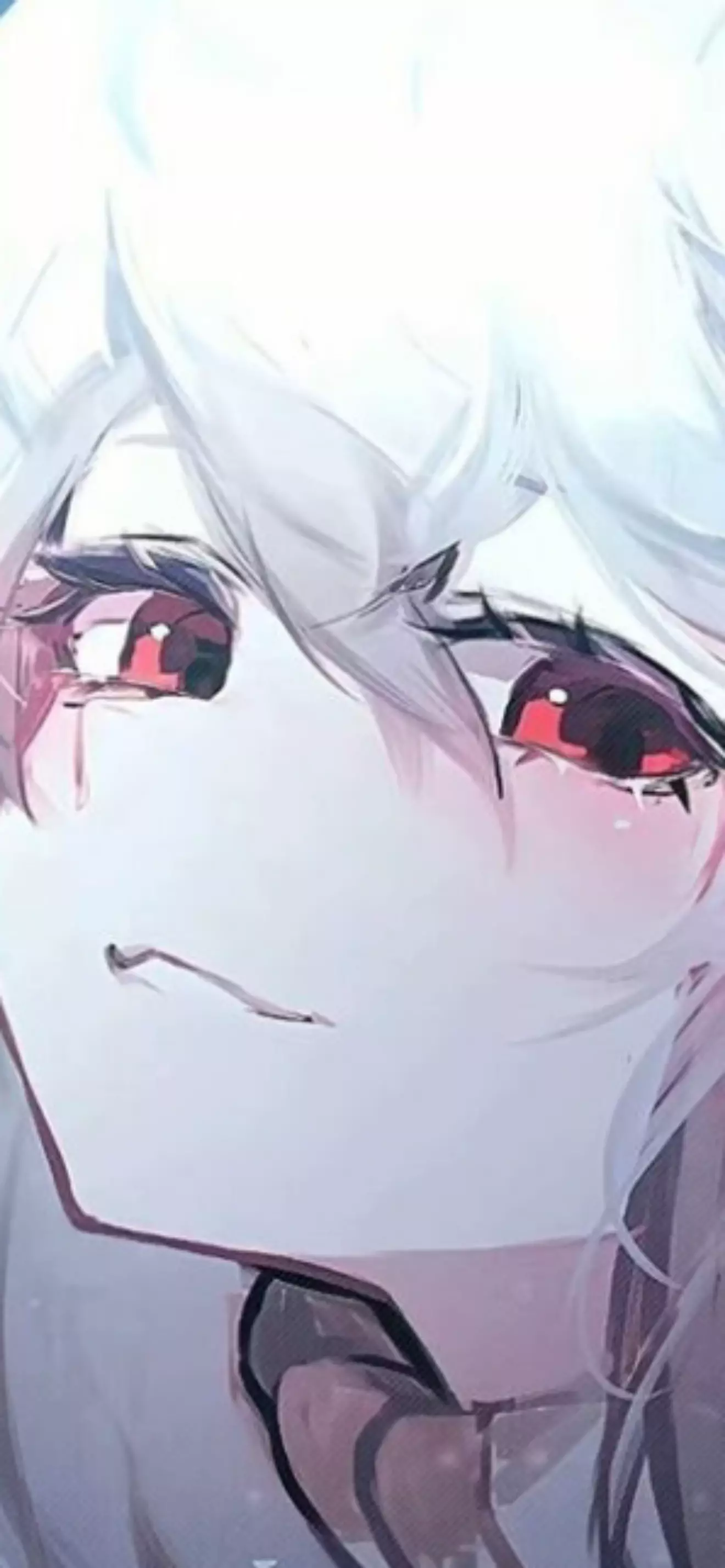 Y/n