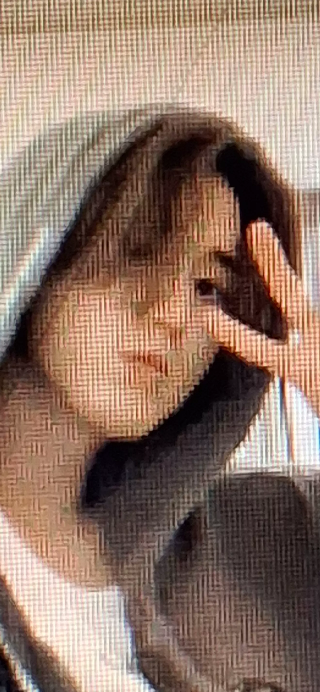 Fan of stray kids 