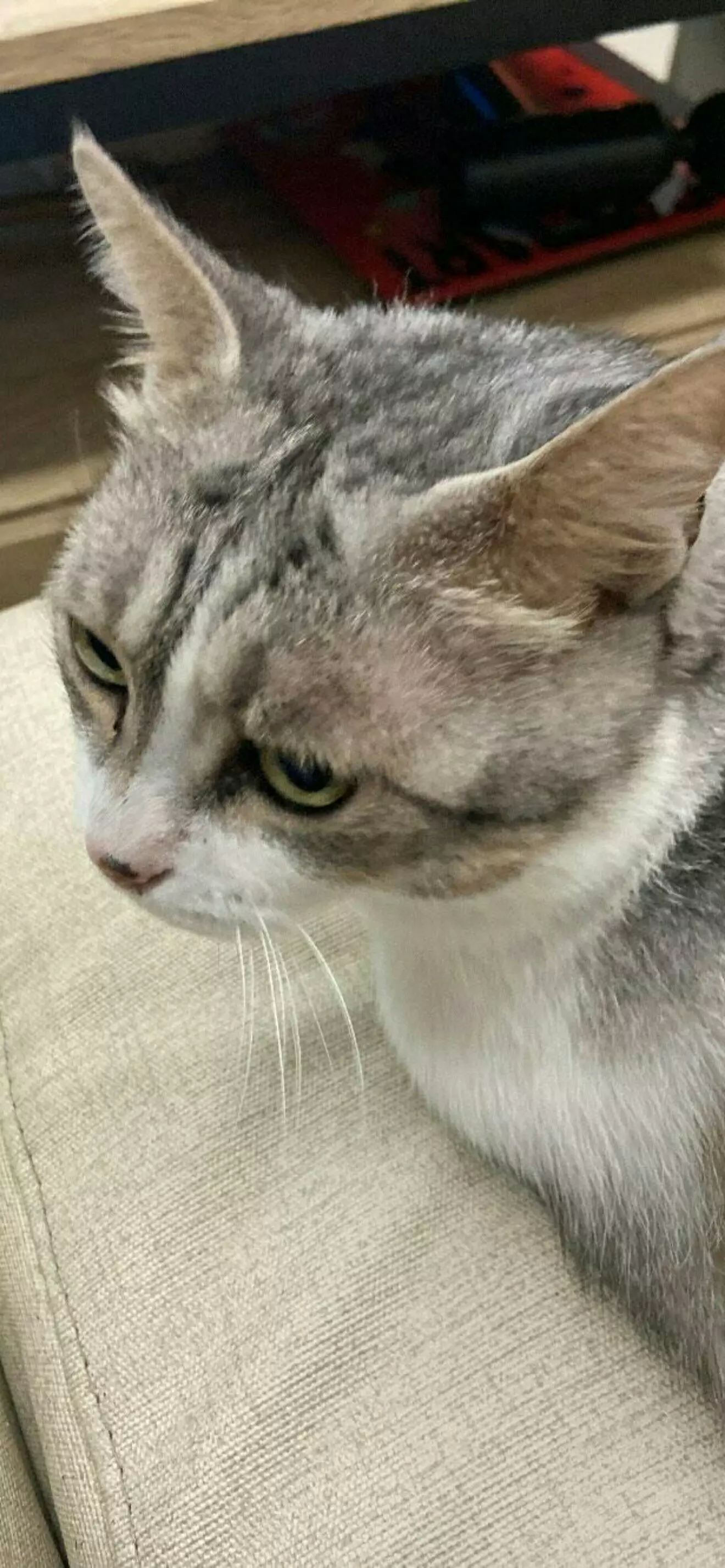欣怡