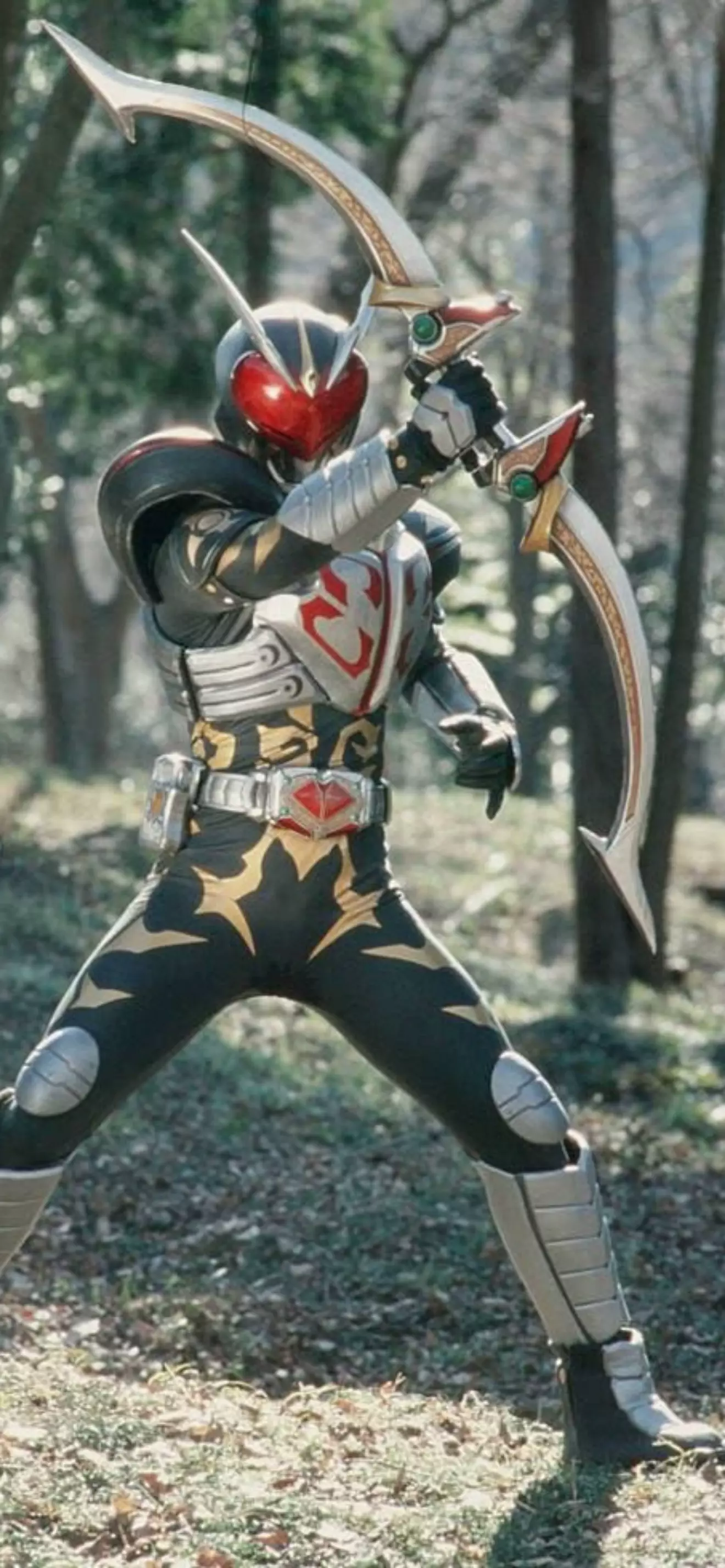 Kamen rider fujis
