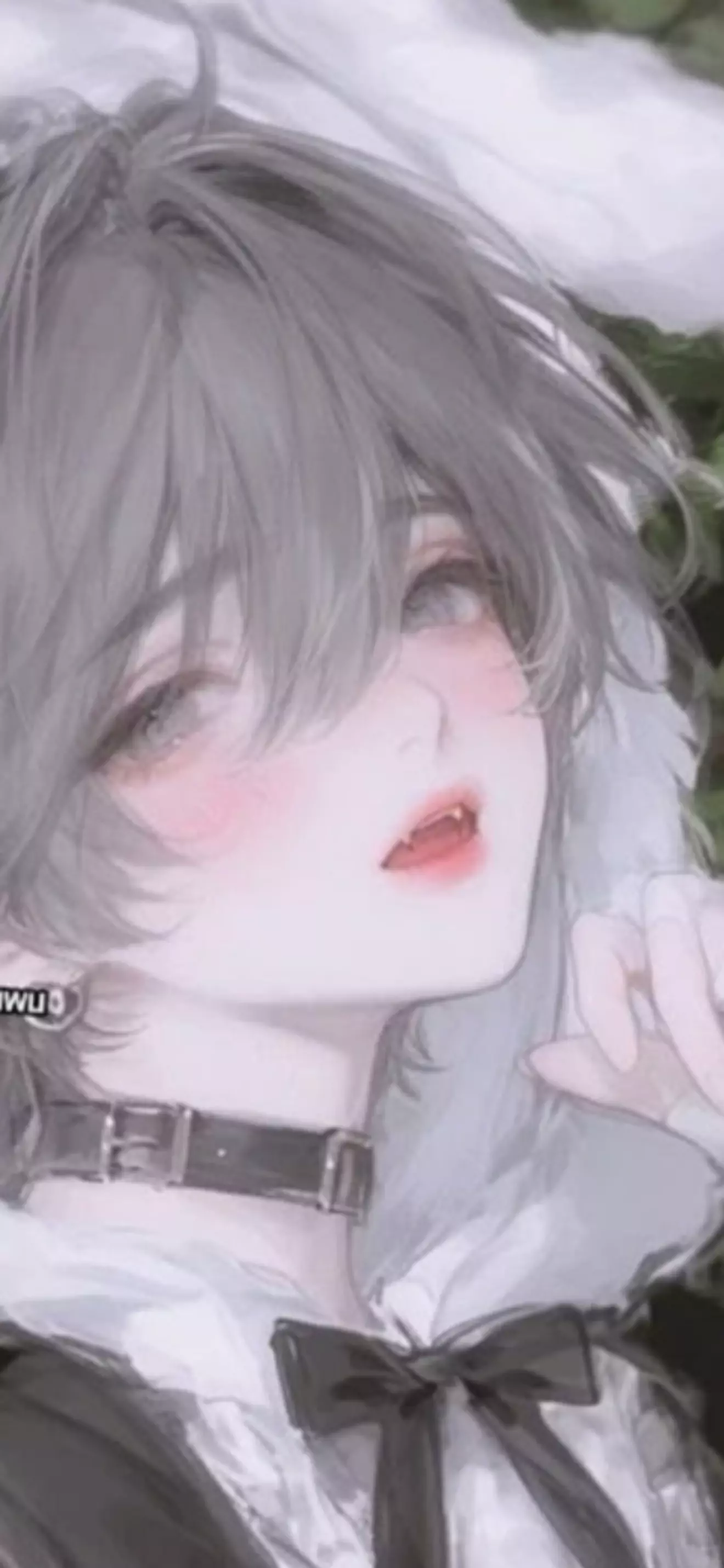 Lumi