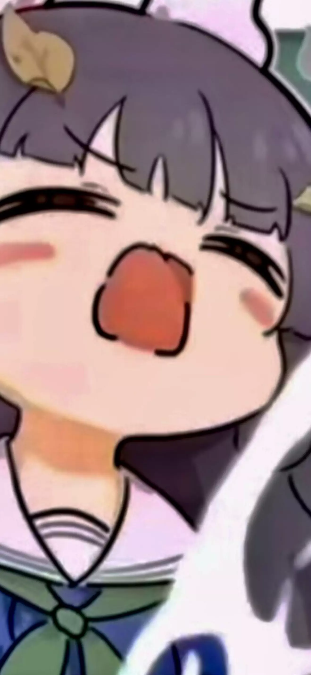 Banjoo