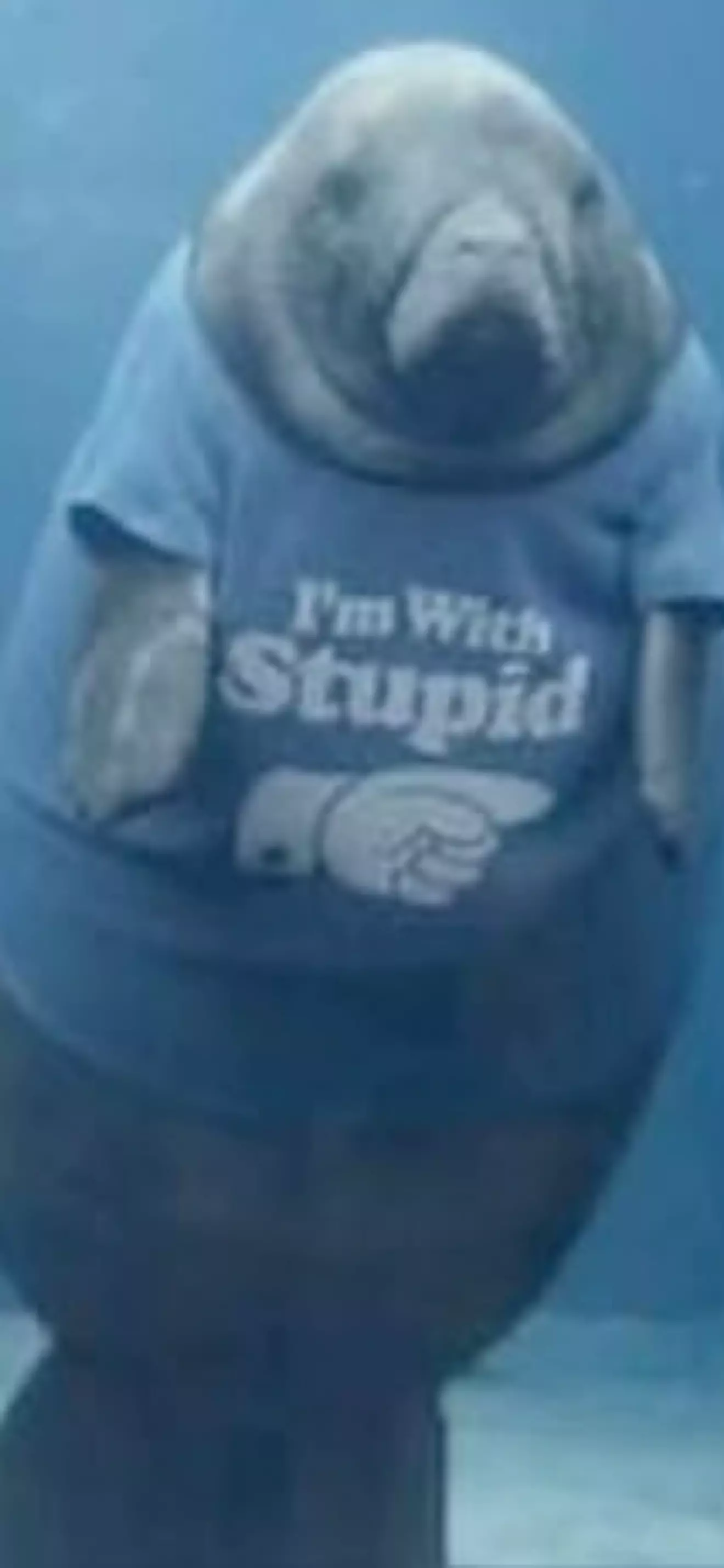 Skibidi
