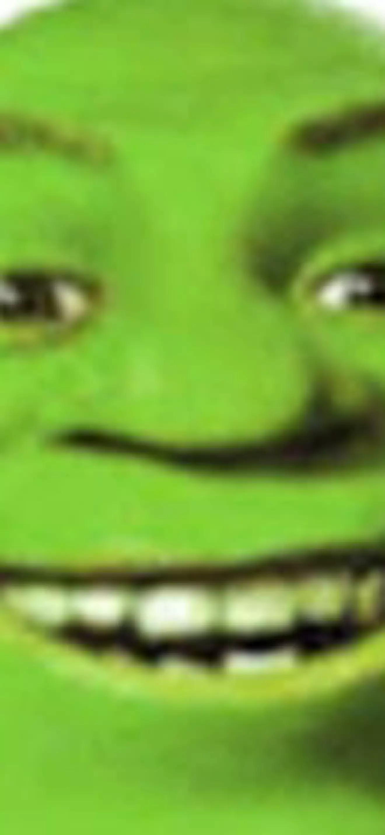 Zane