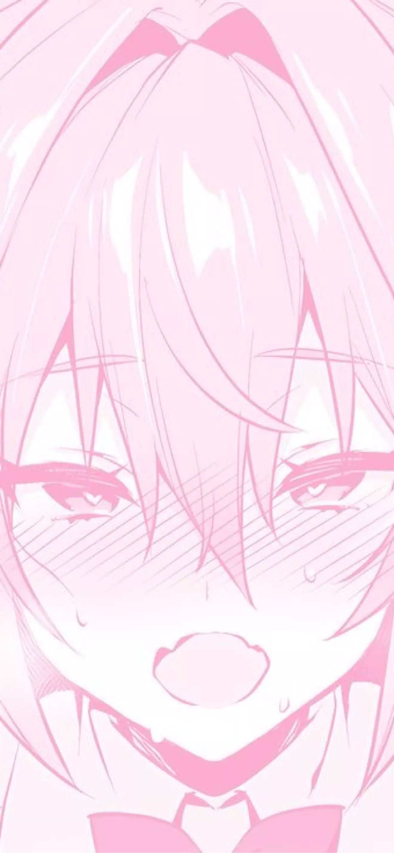 |~ Netsaa ~|