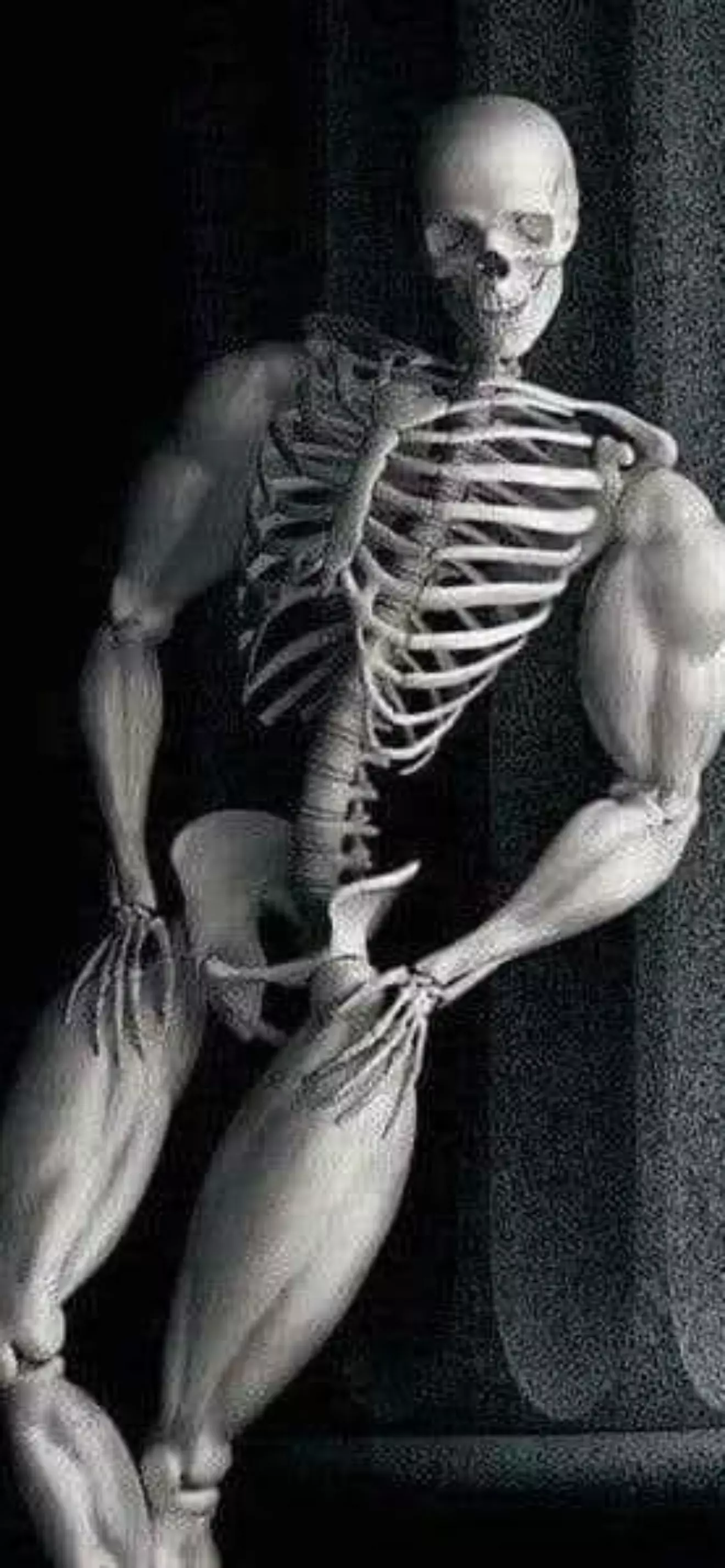 MONO
