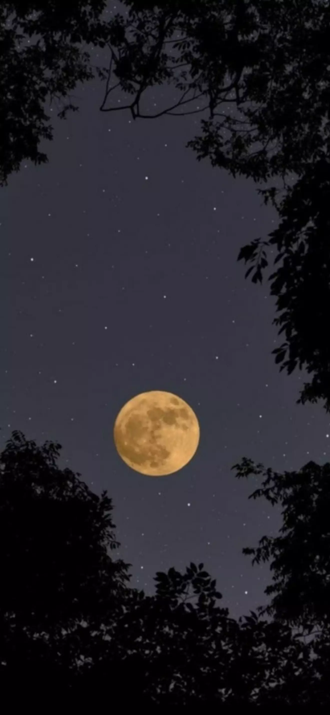 Lunar  San