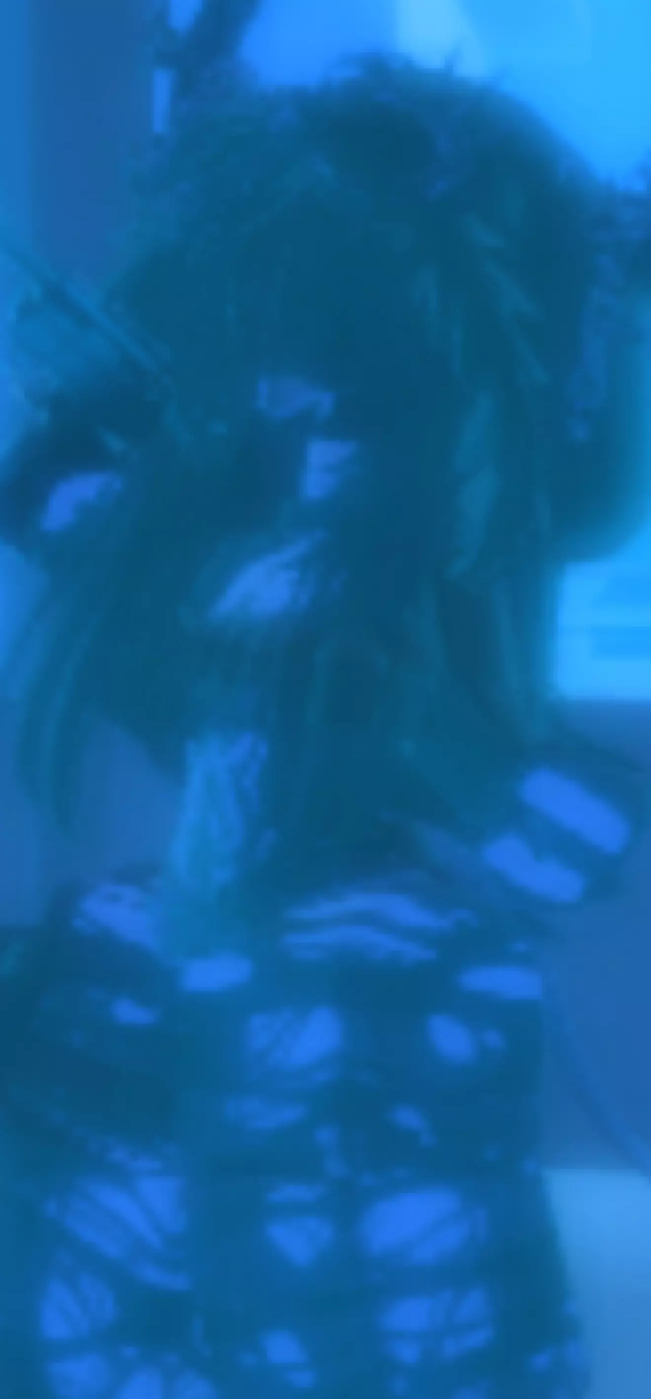 Crow