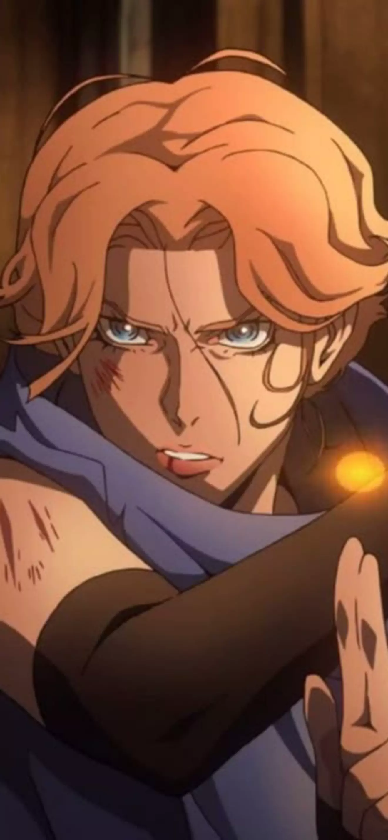 Sypha belnades
