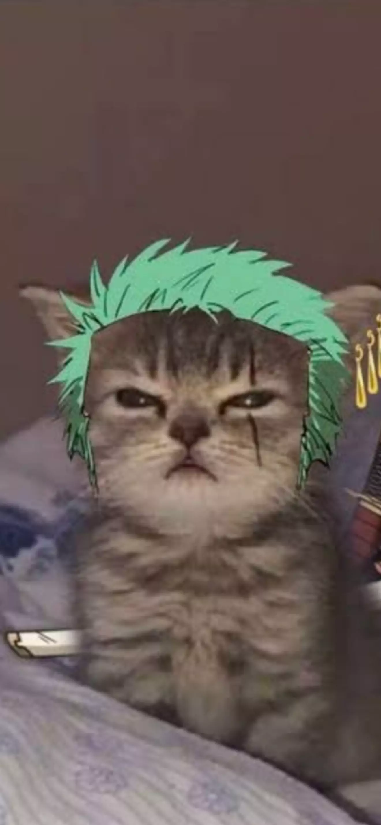Jon 