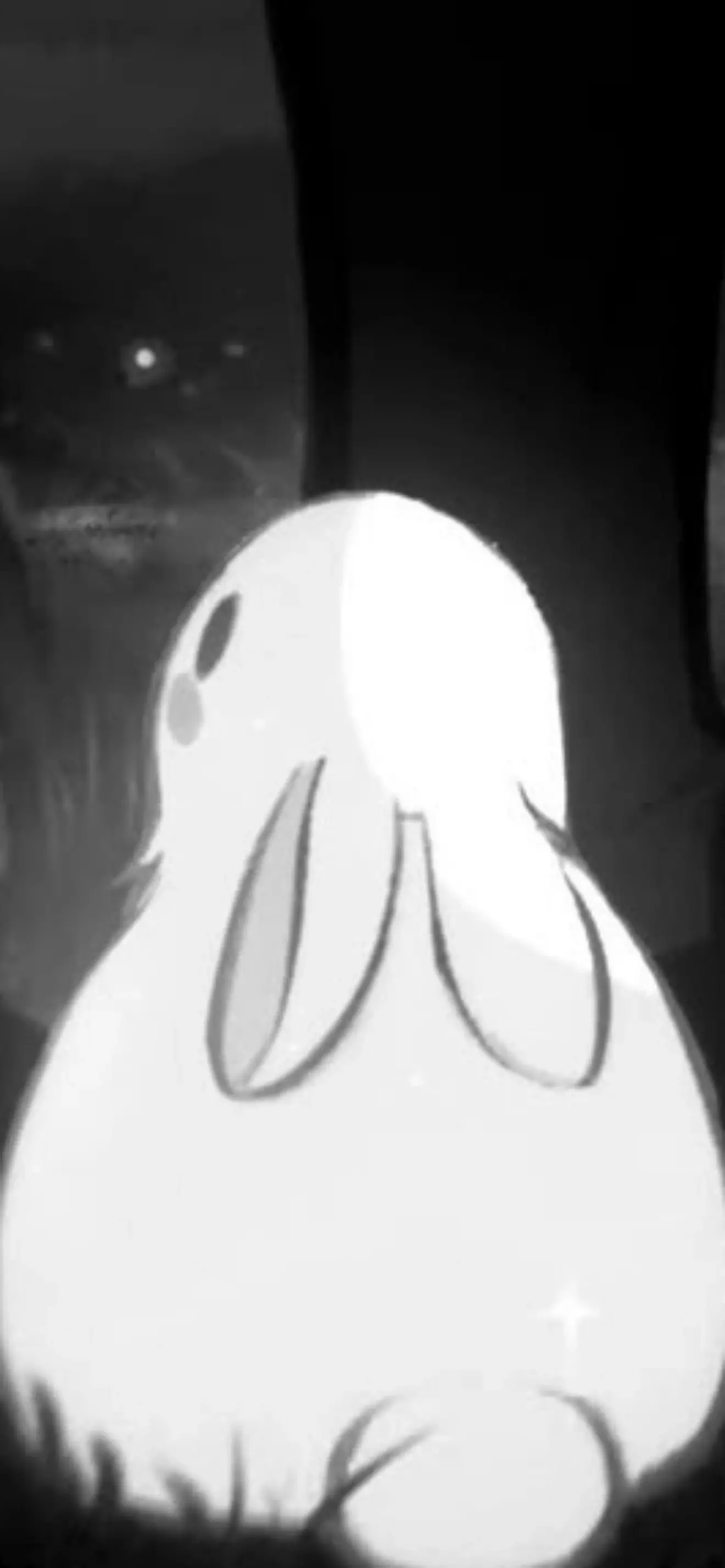Lilacx