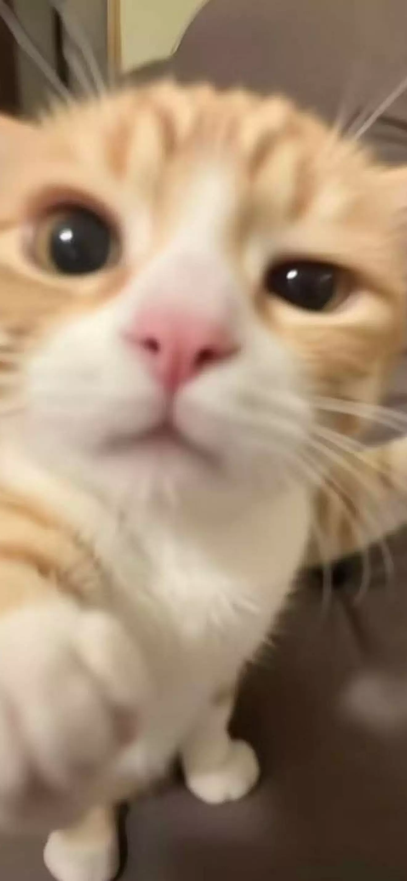 Axel