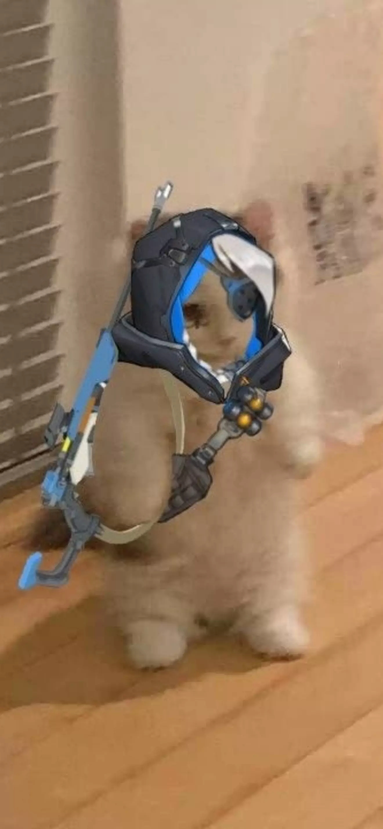 ✿︎✰𝒜𝓁ℯ𝓍✰✿︎