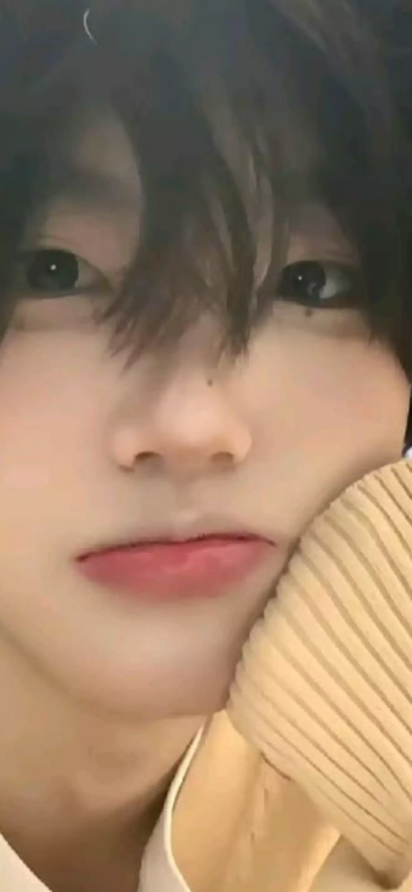 ~°Noha°~