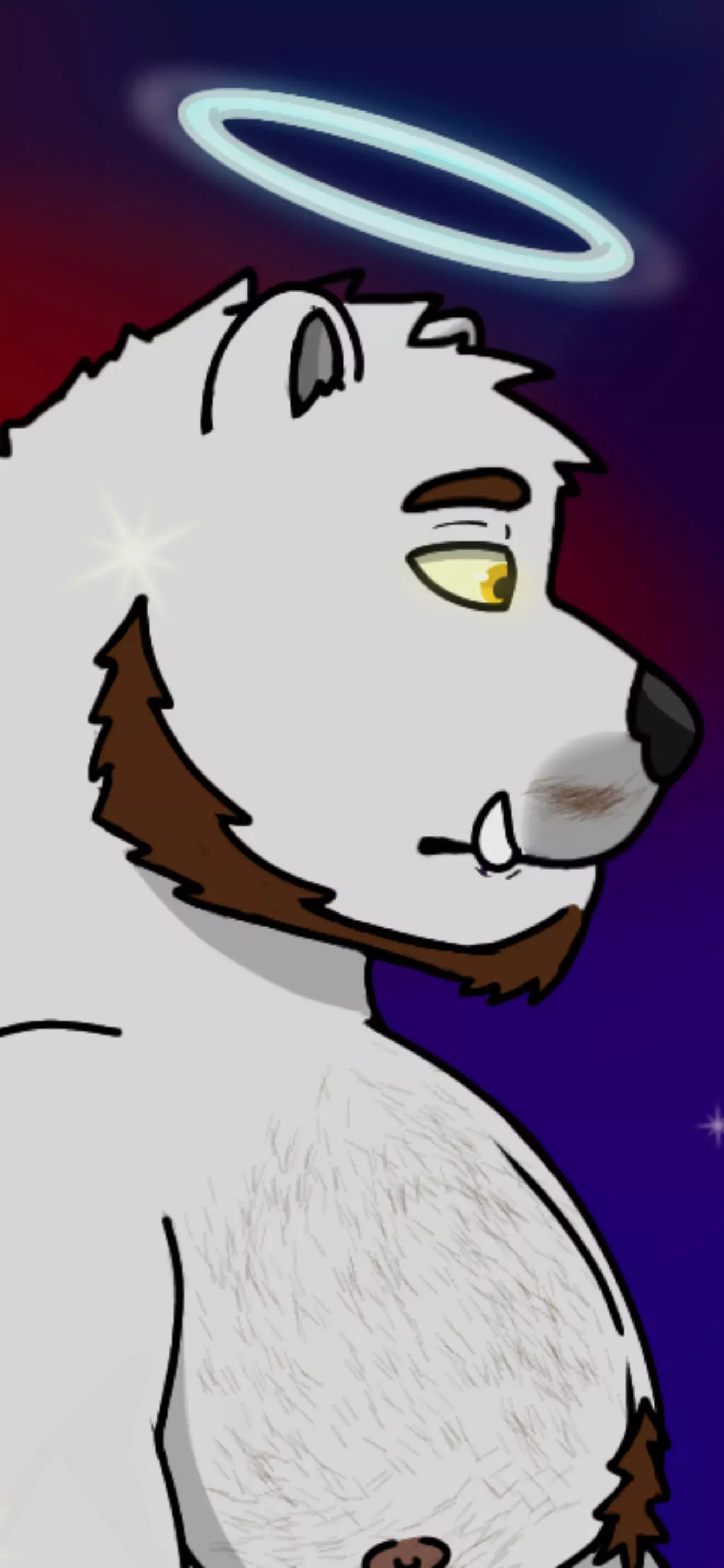 Diego Polar
