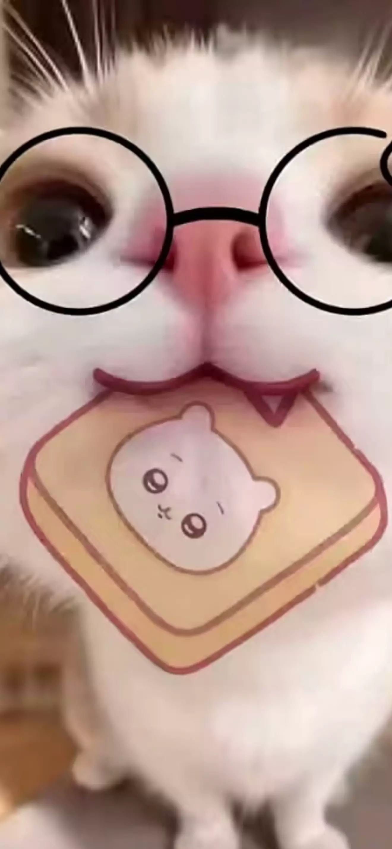 白清霜