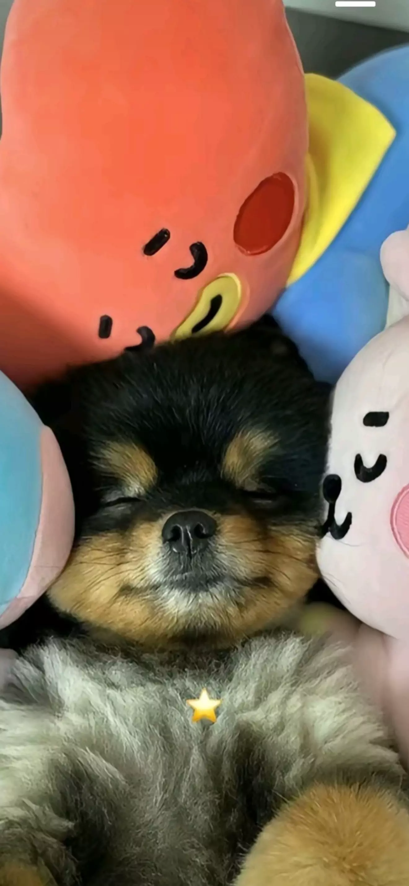 Aby