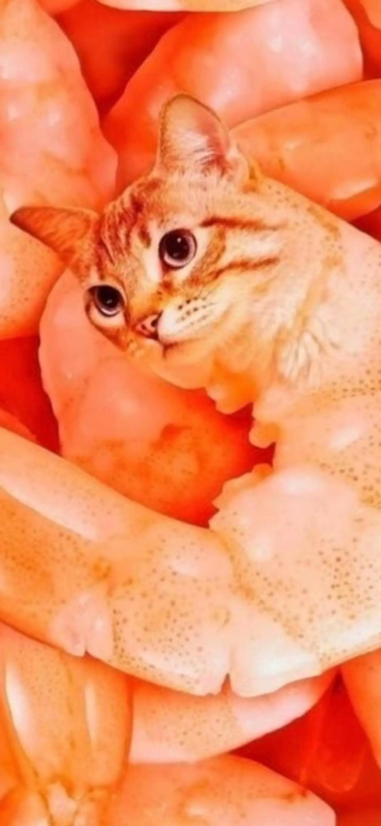 Дерзкий