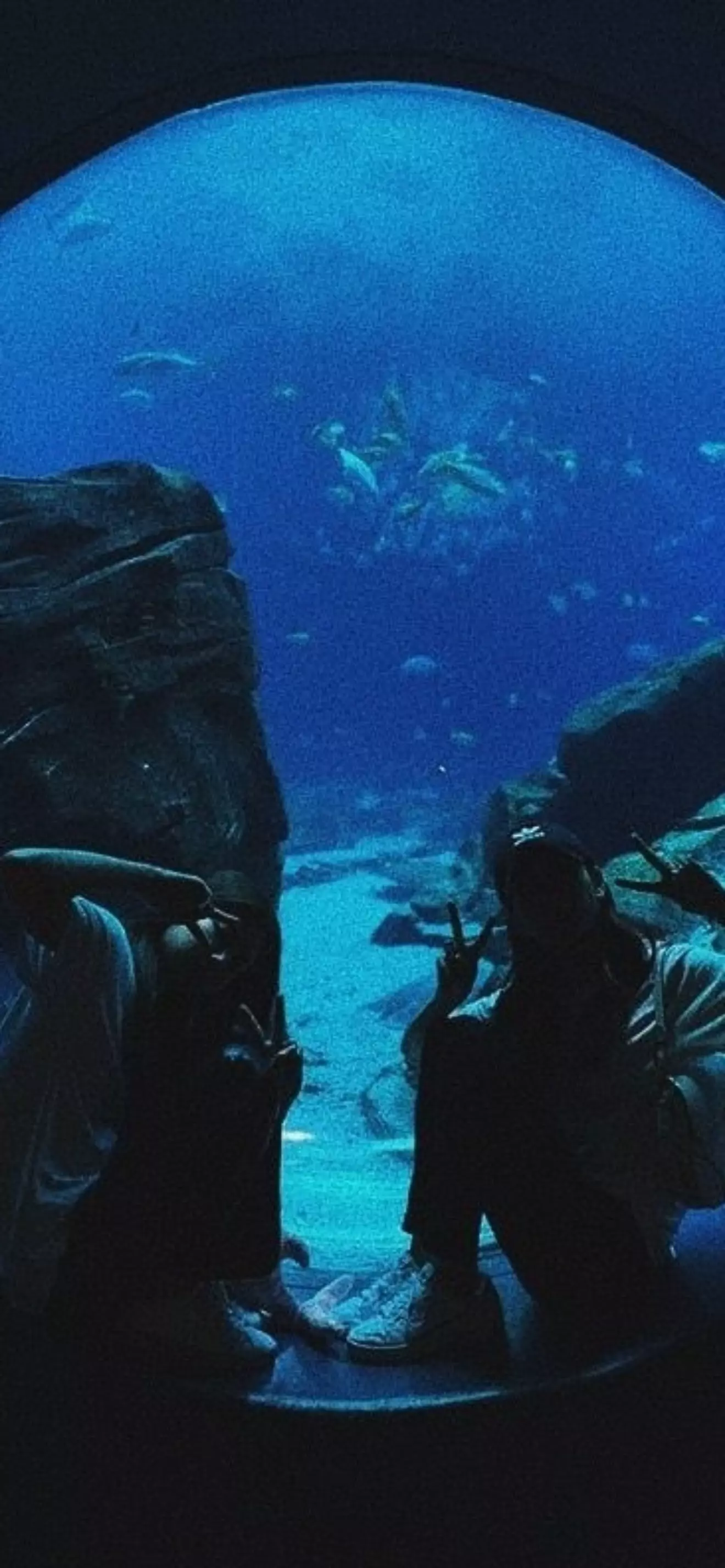 Christopher 