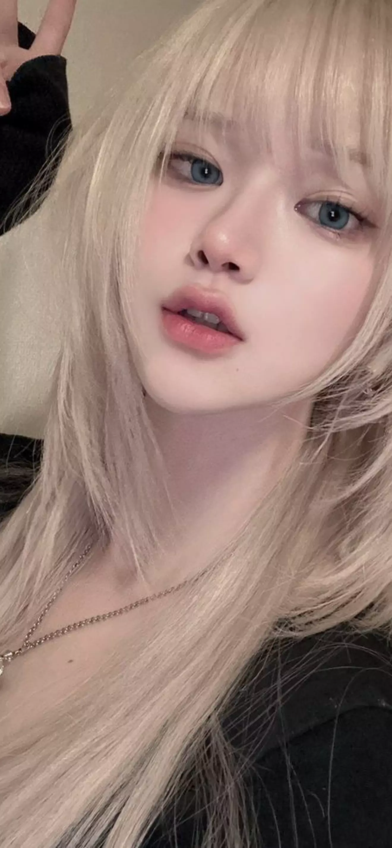 Vanessa,