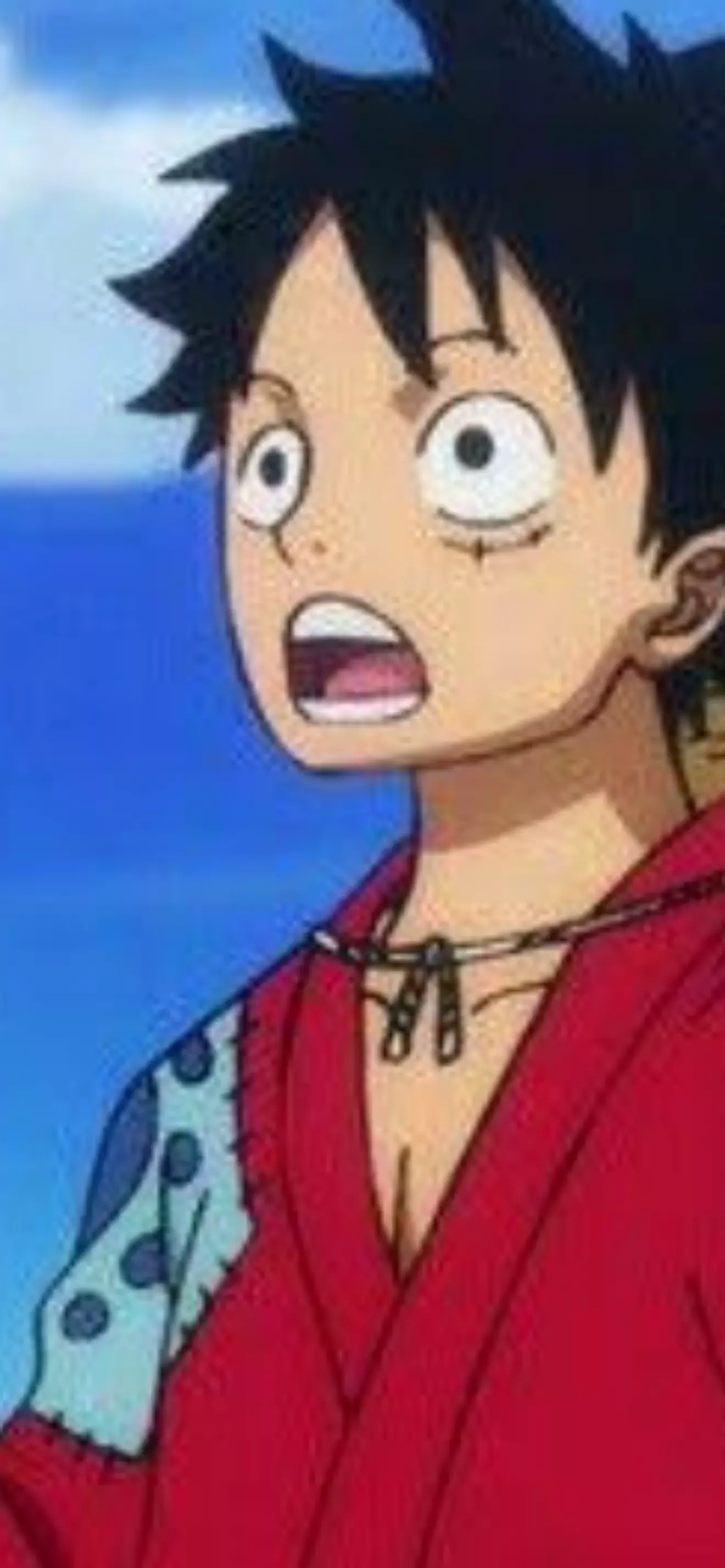 Luffy.