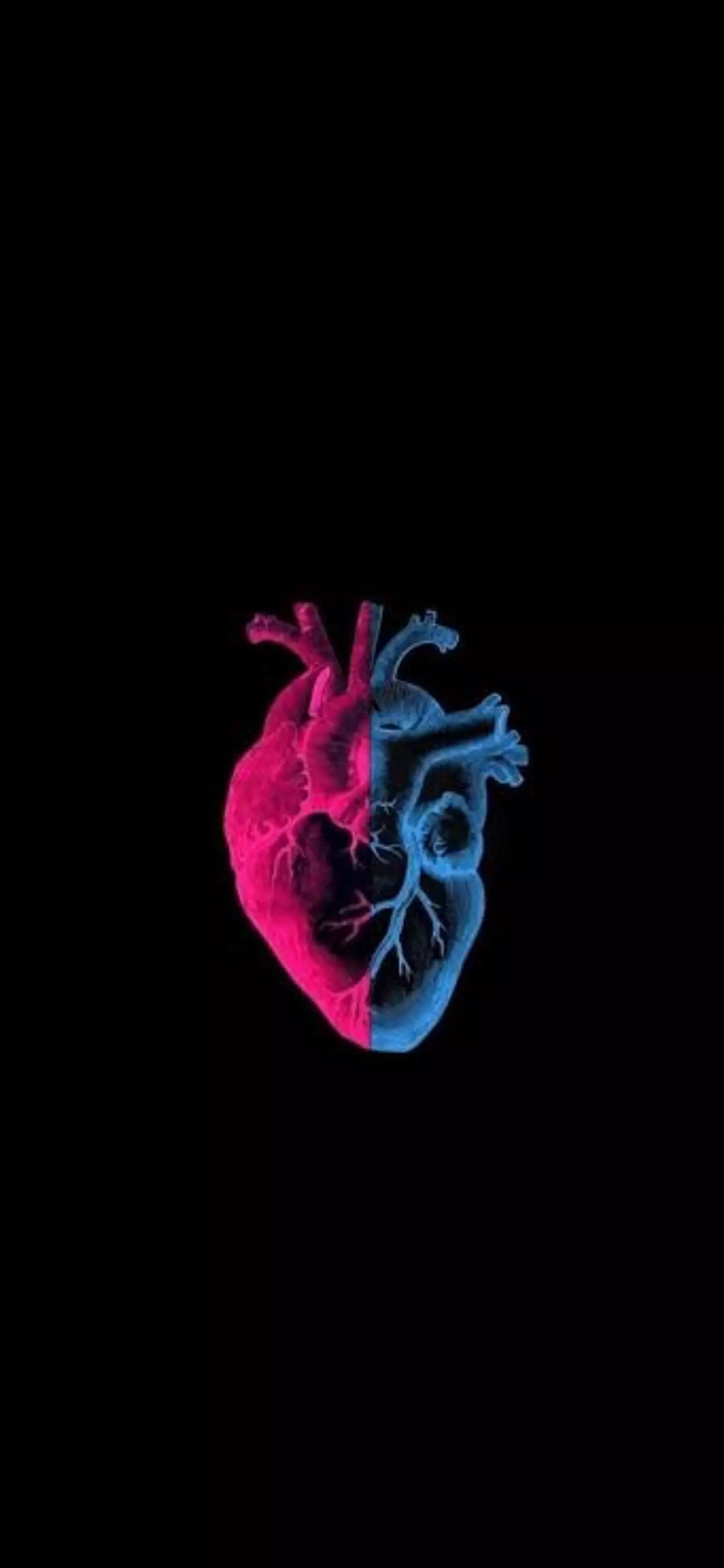 Heart