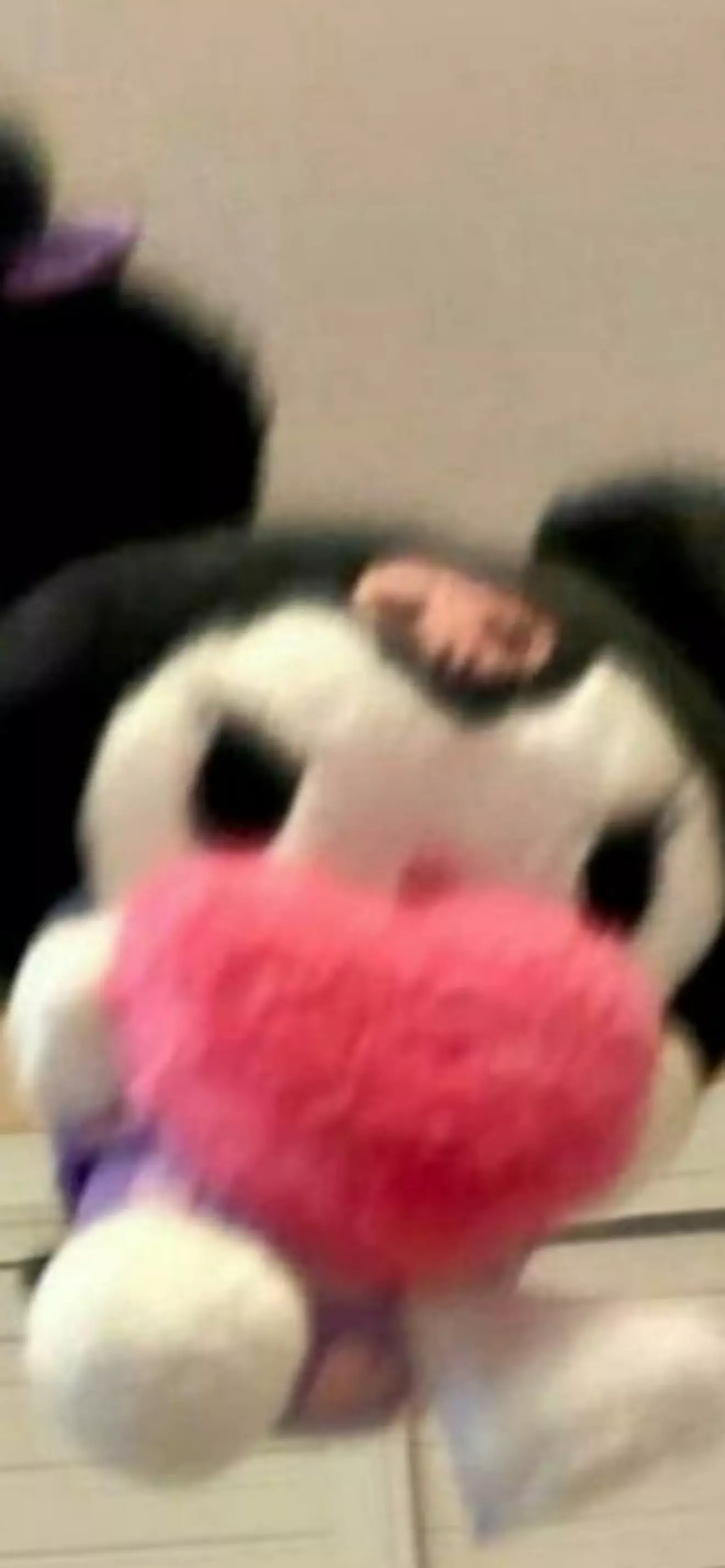 . . . 