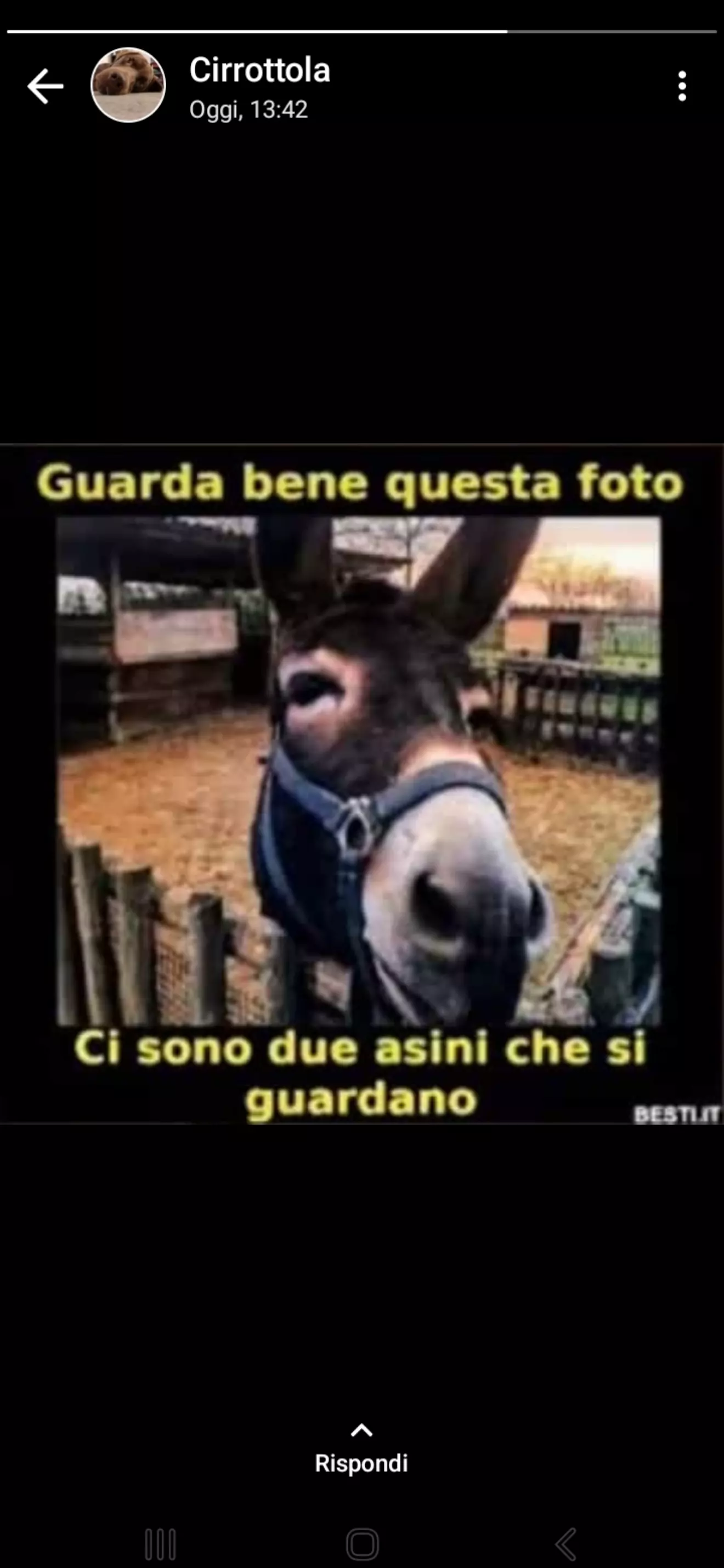 Asinello