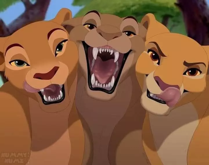 3 Lioness in heat from lion king  thumbnail