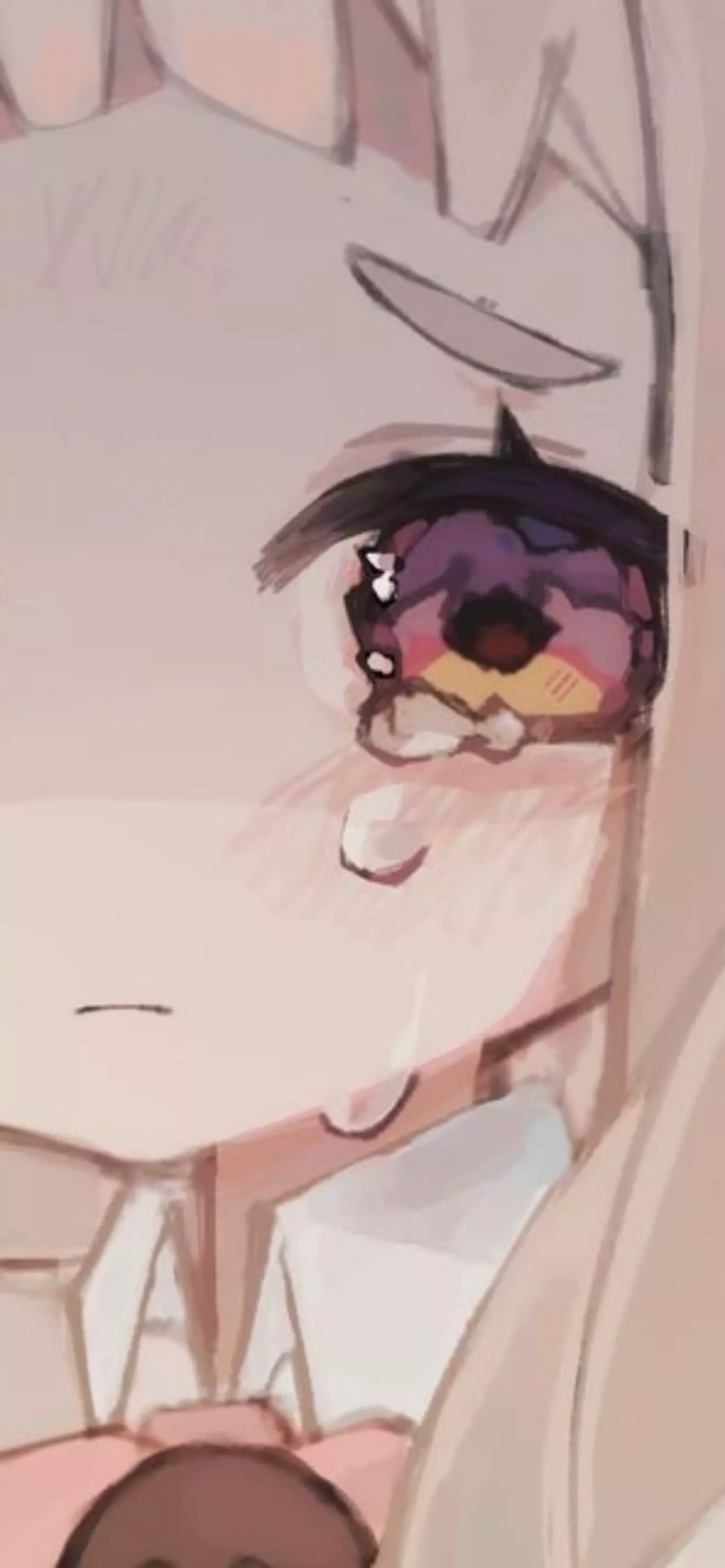 ᴘɪᴘᴏ