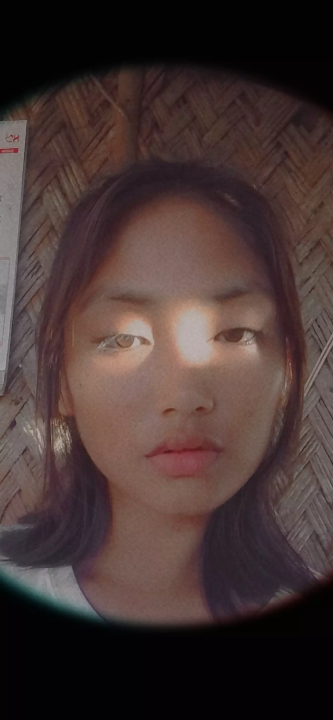 NYZ Xavier 