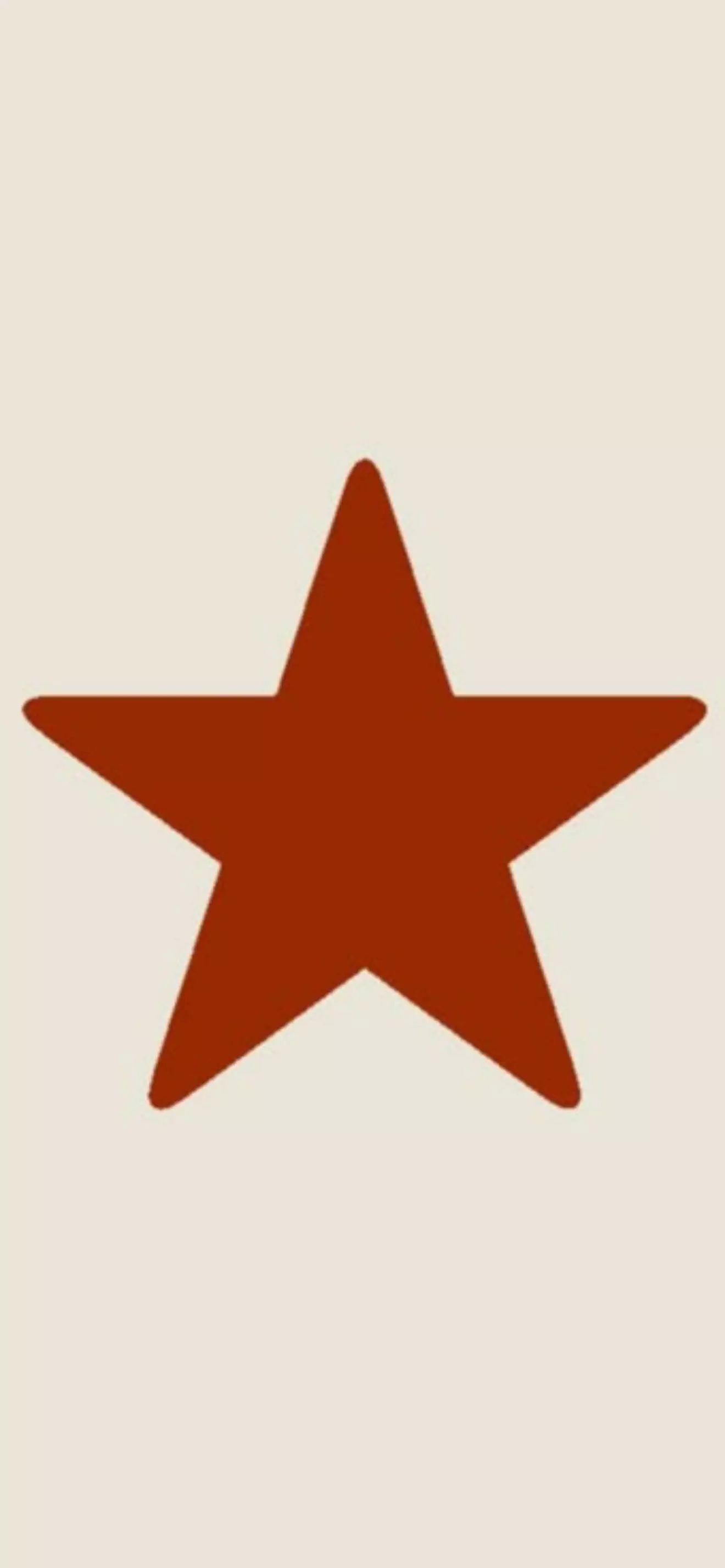 🌟