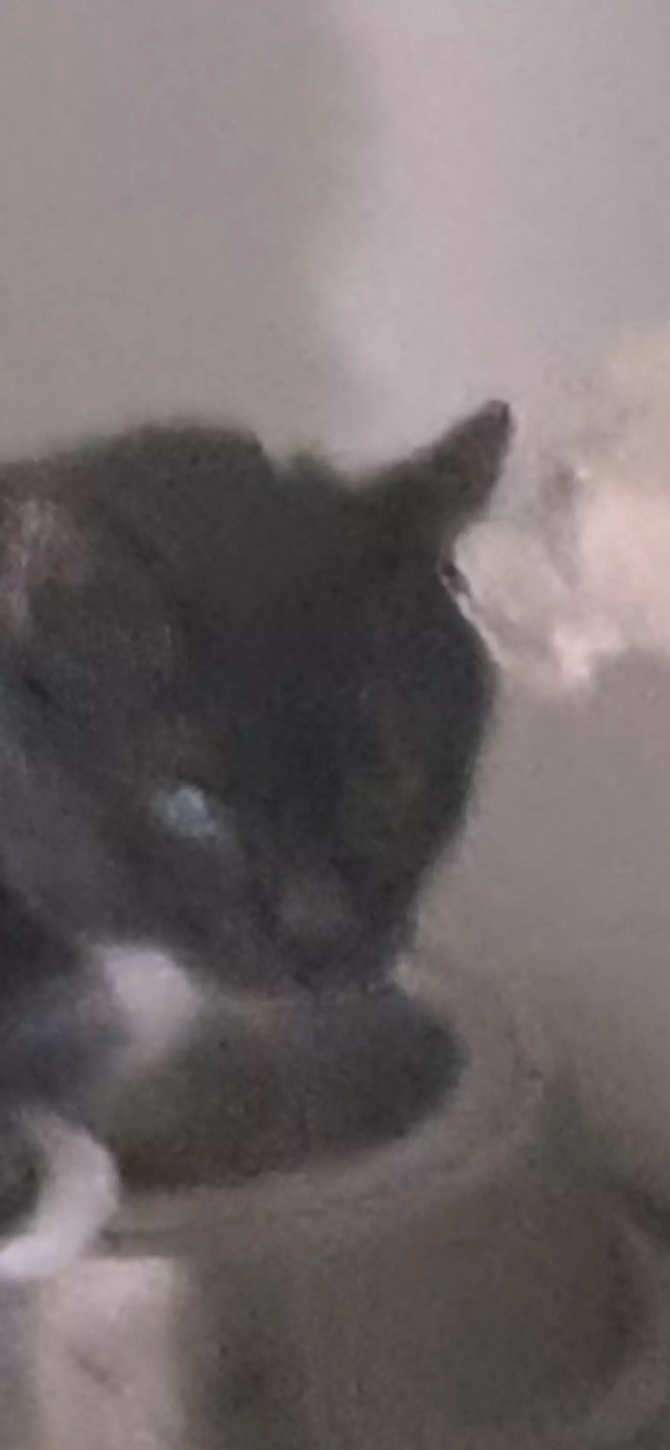 Kiro