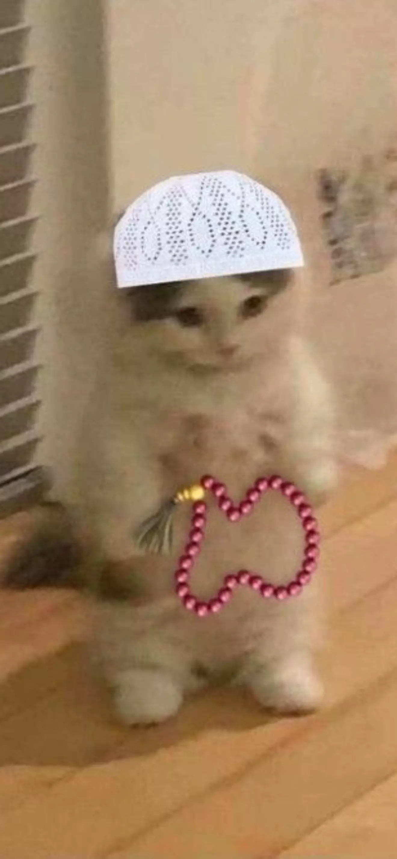 Nur 