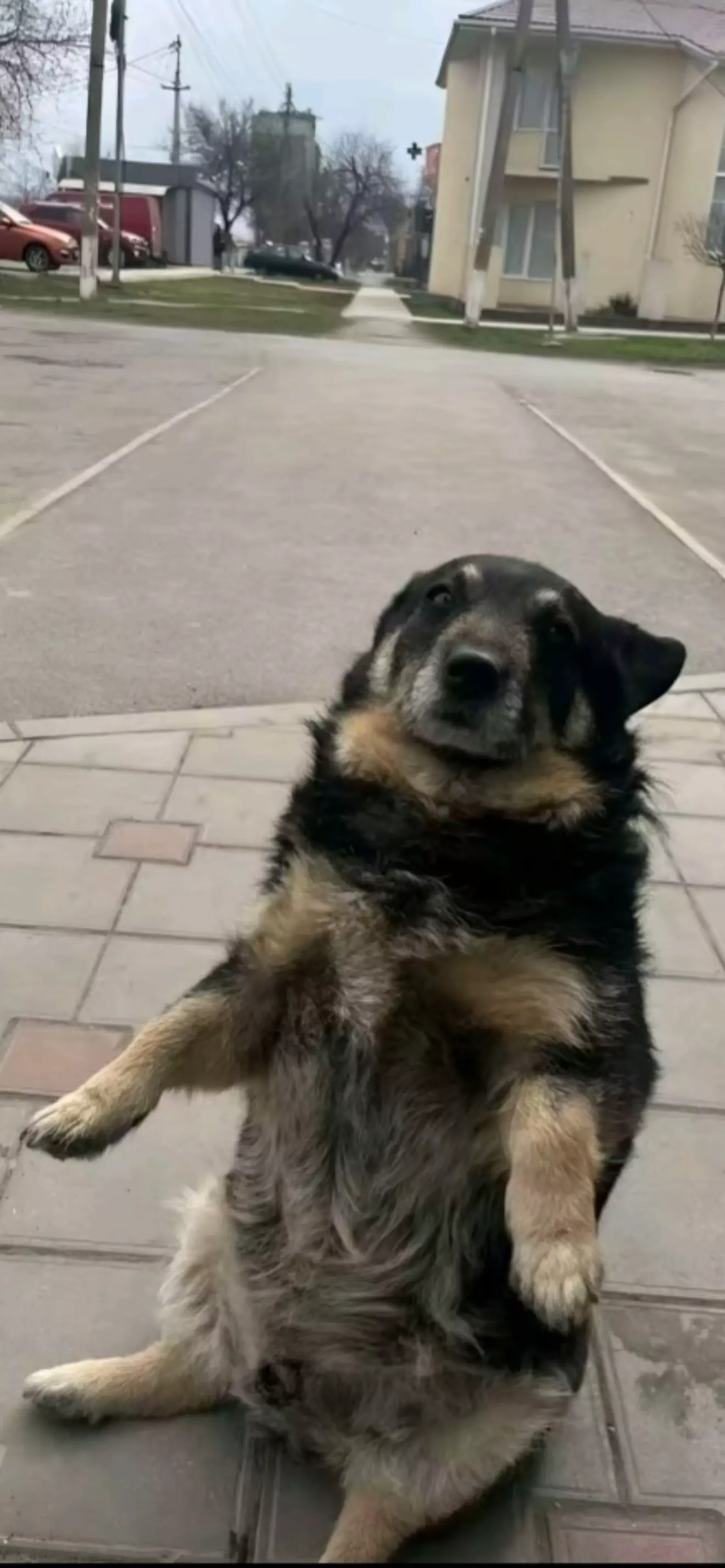 Bruce