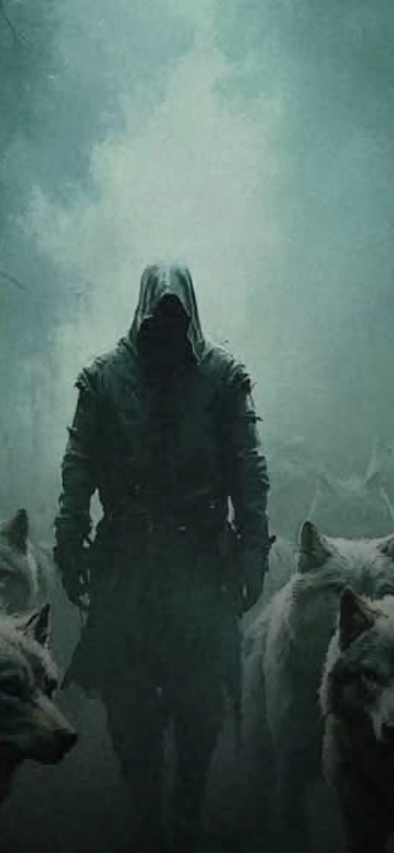 The Black Wolf 